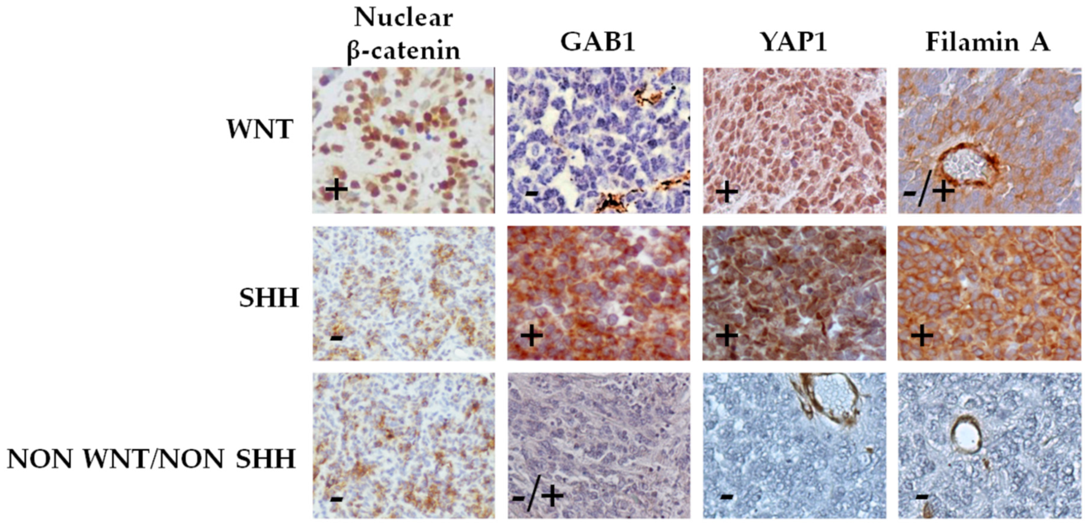 Diagnostics 10 00265 g001 Diagnostics 10 00265 g001
