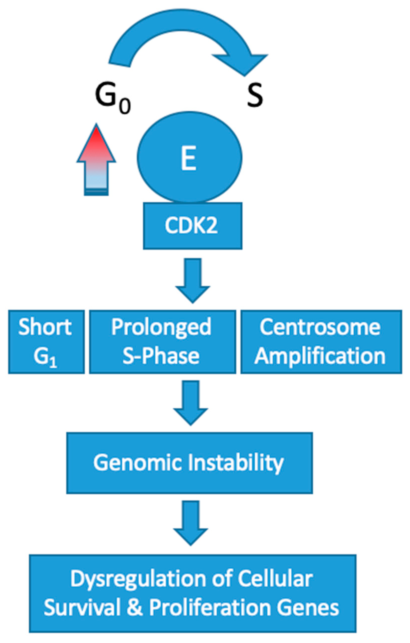 Diagnostics 10 00279 g002 Diagnostics 10 00279 g002