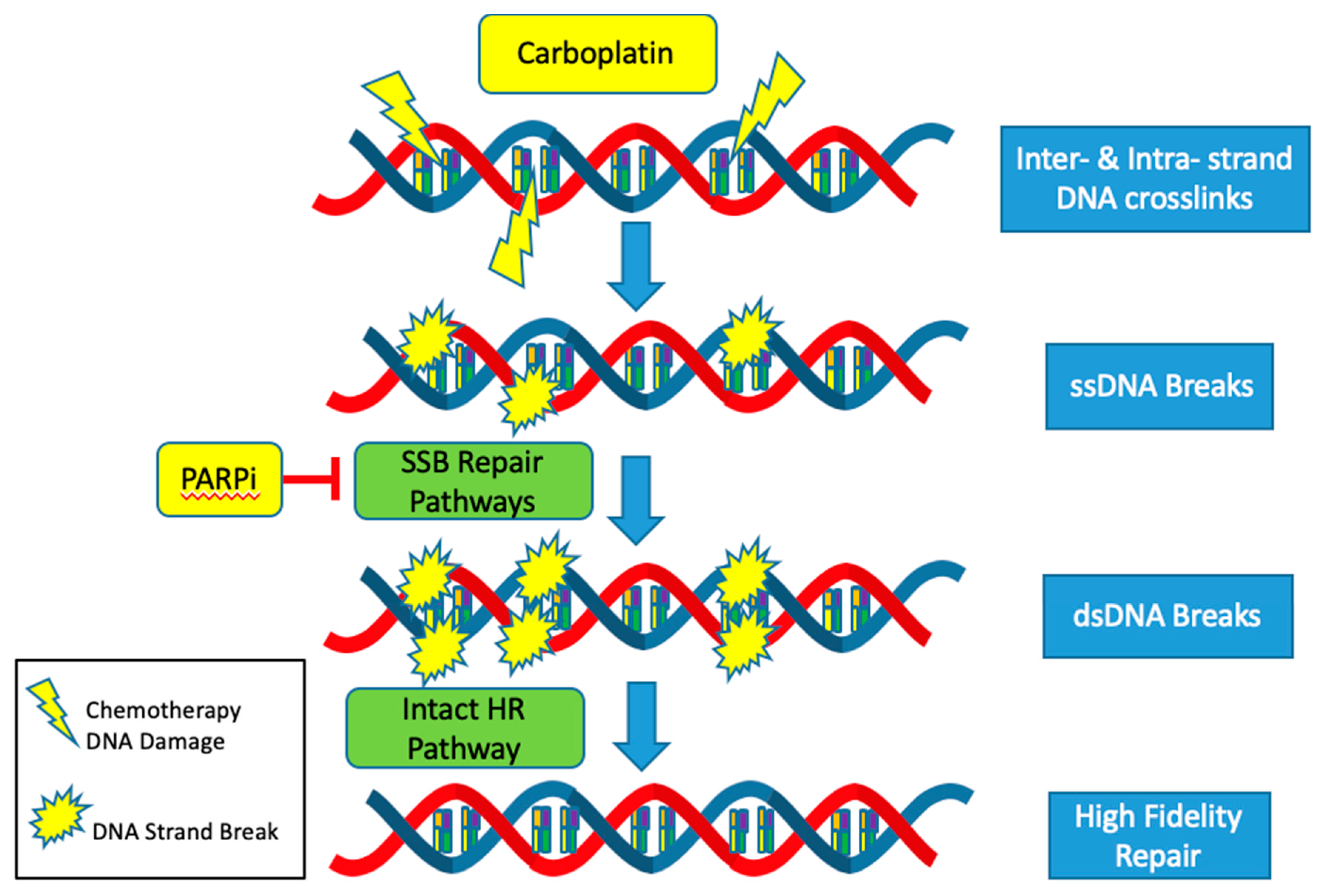 Diagnostics 10 00279 g003 Diagnostics 10 00279 g003