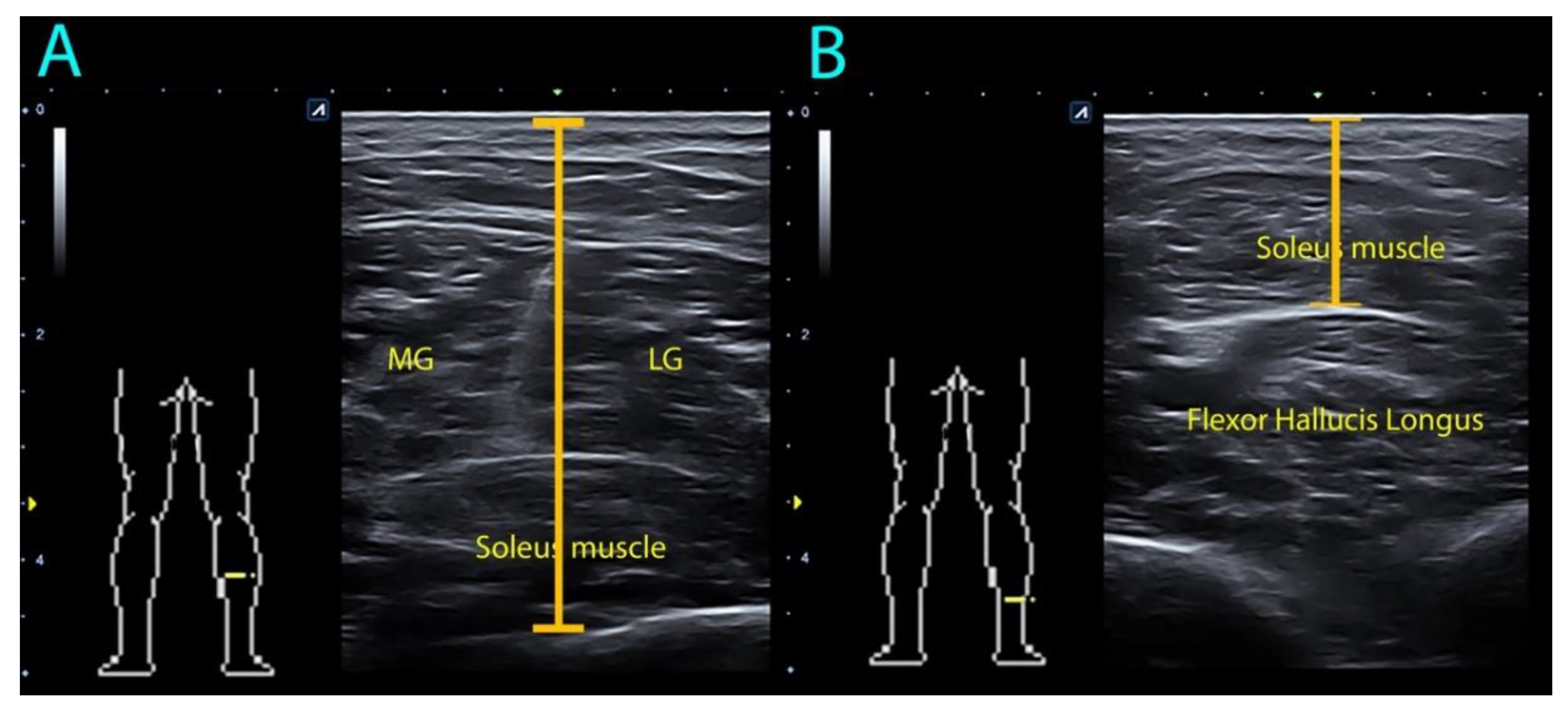 Diagnostics 10 00284 g002
