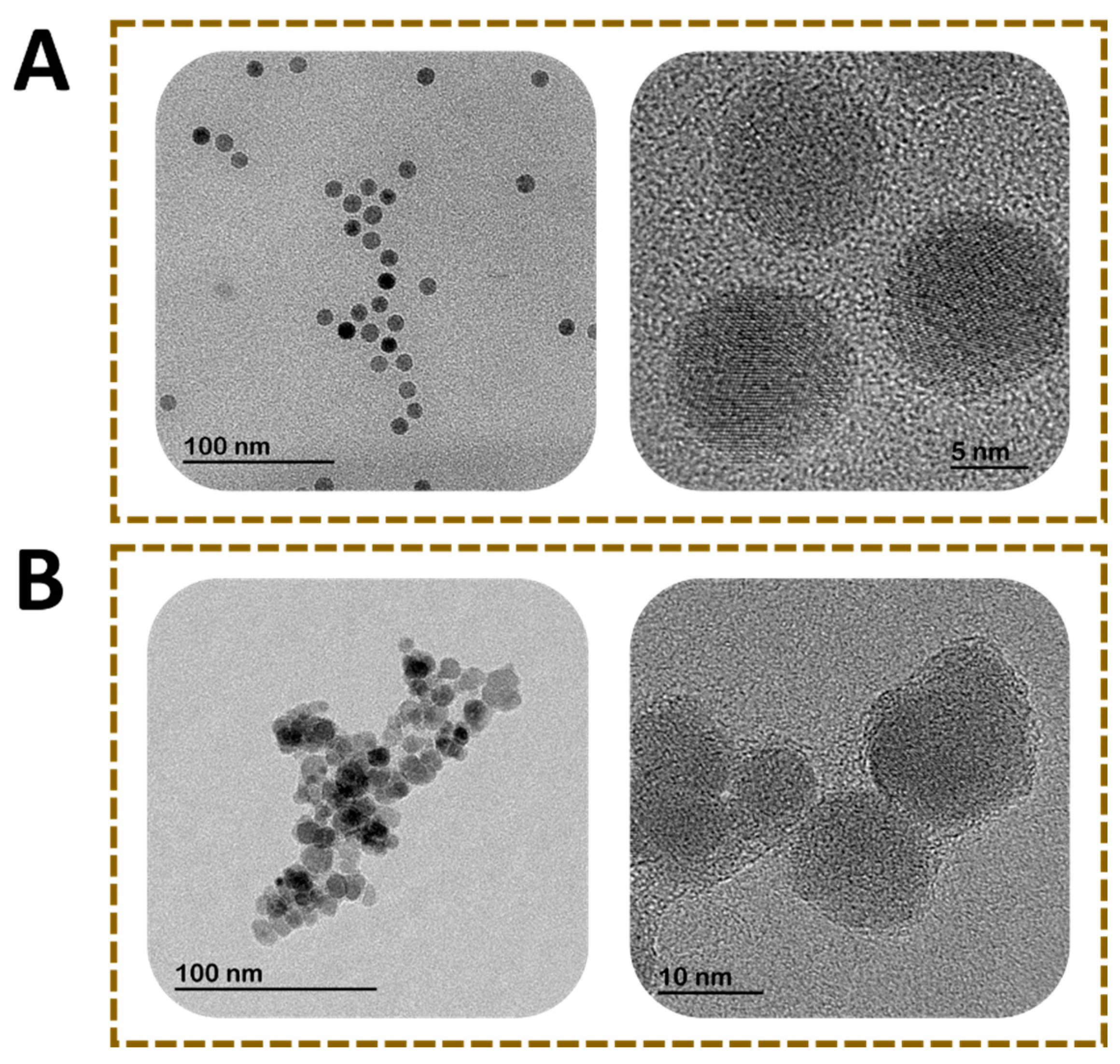 Diagnostics 10 00288 g003