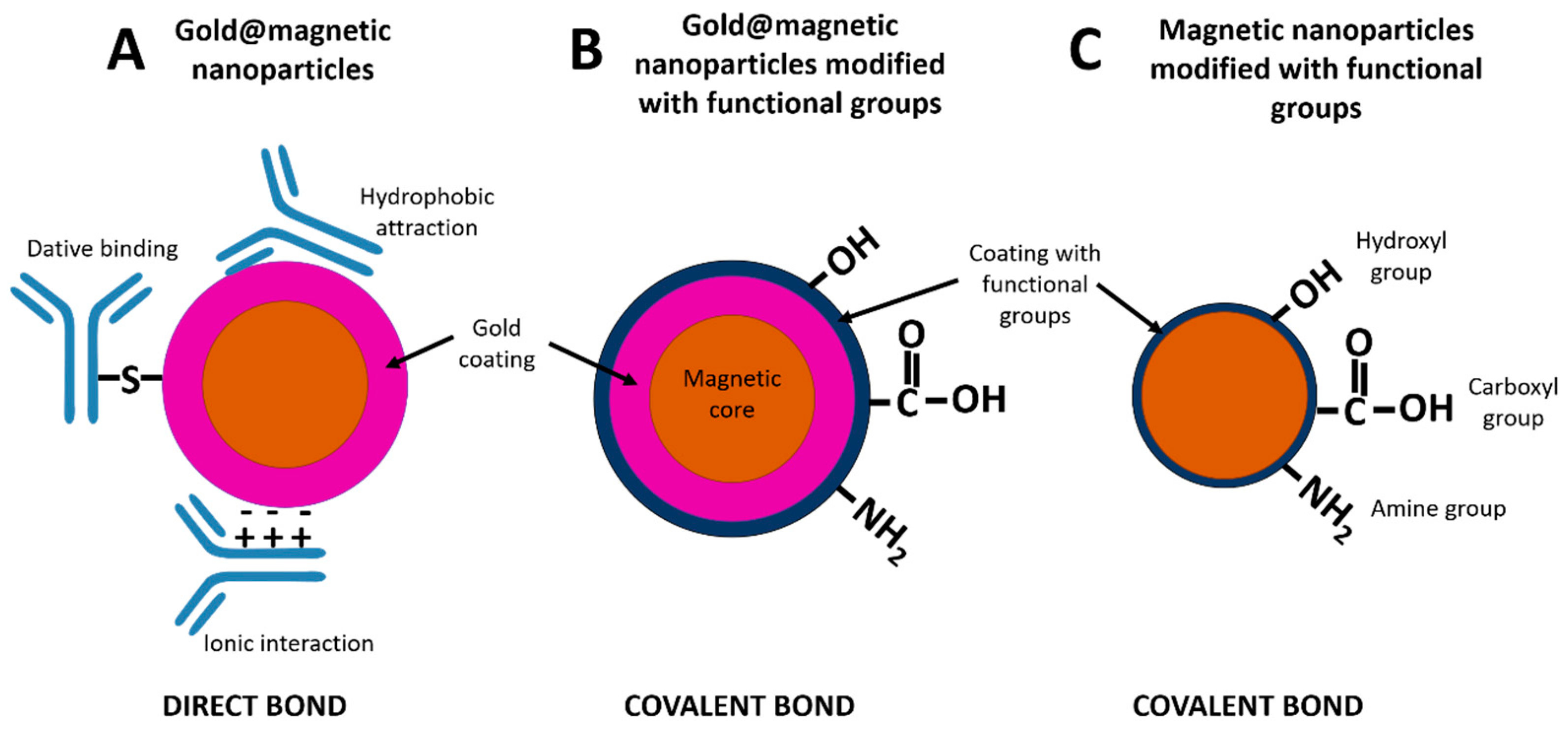 Diagnostics 10 00288 g004