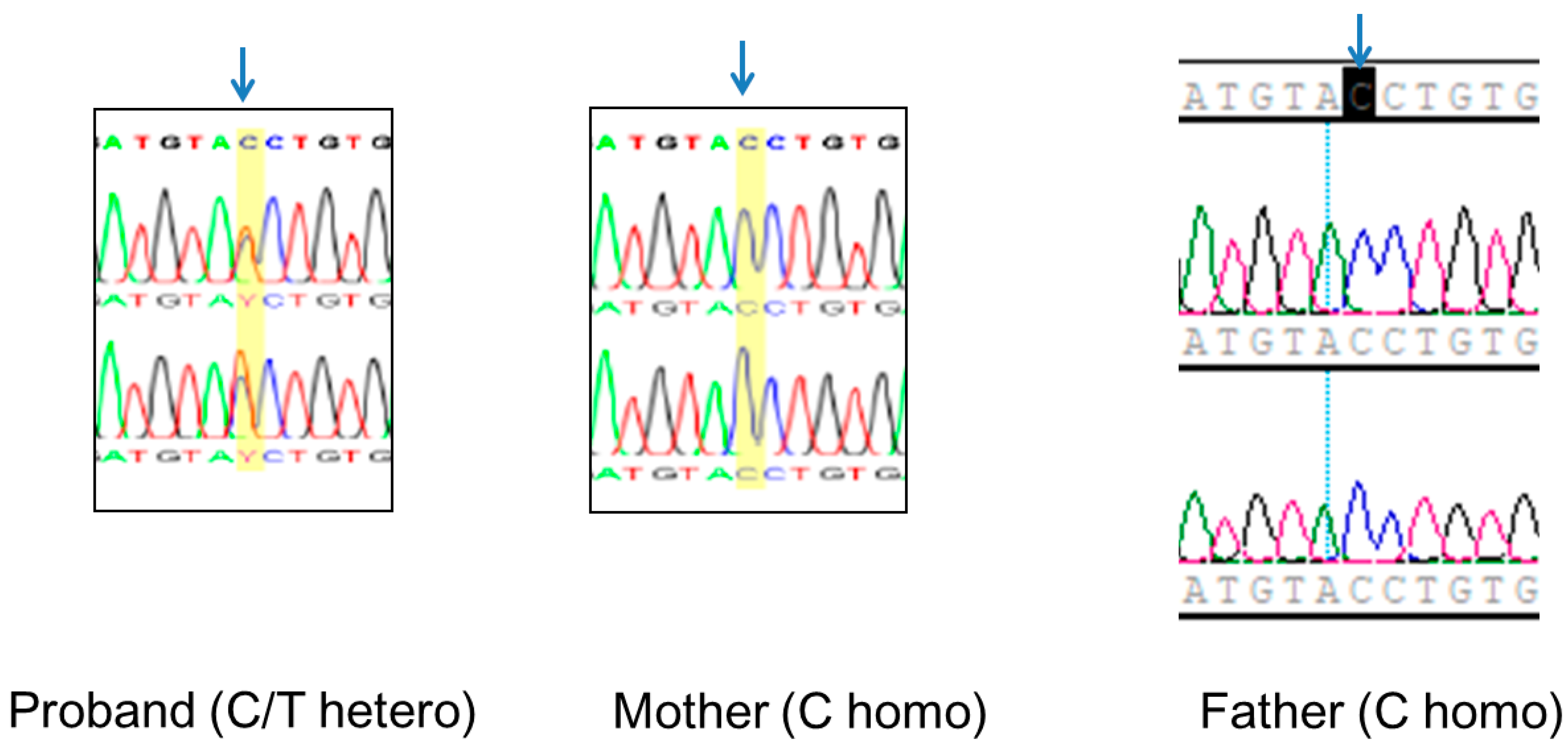 Diagnostics 10 00296 g003 Diagnostics 10 00296 g003