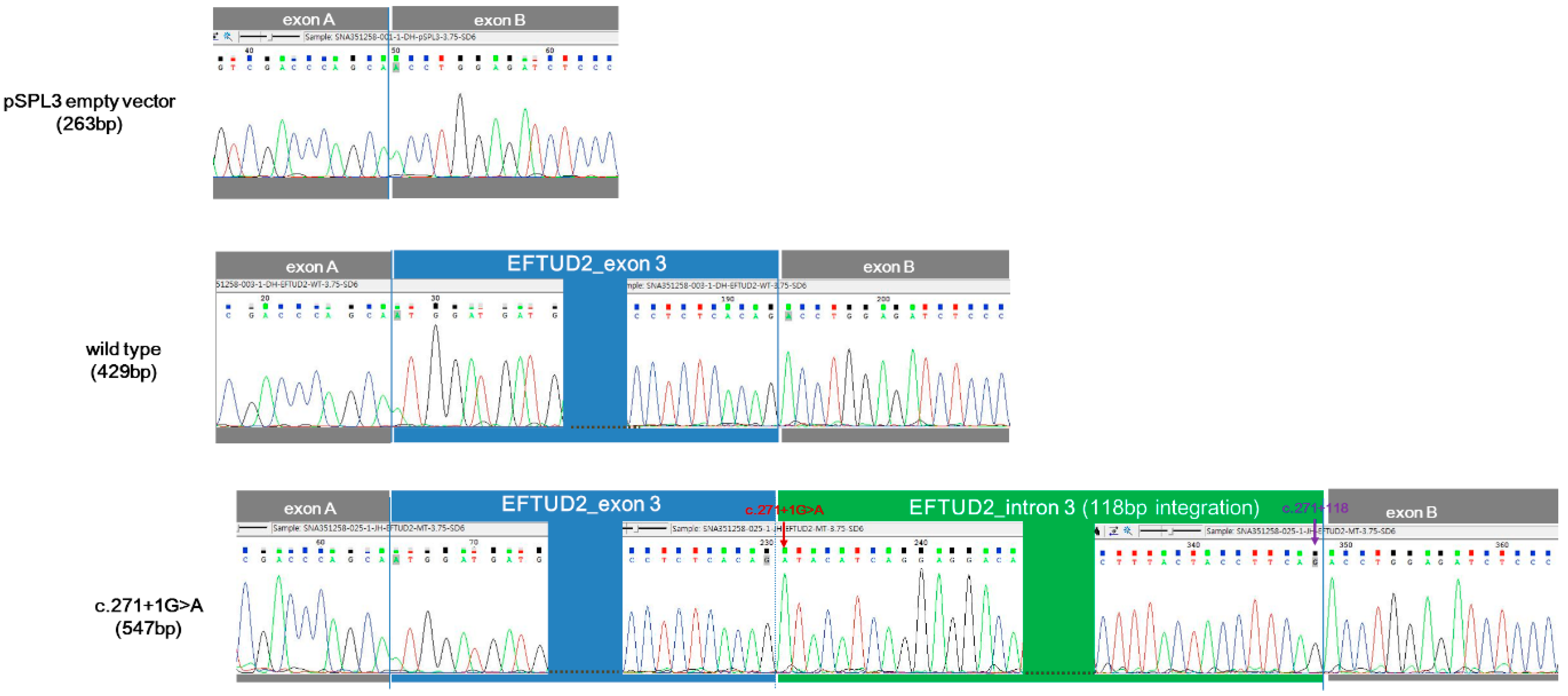 Diagnostics 10 00296 g005 Diagnostics 10 00296 g005