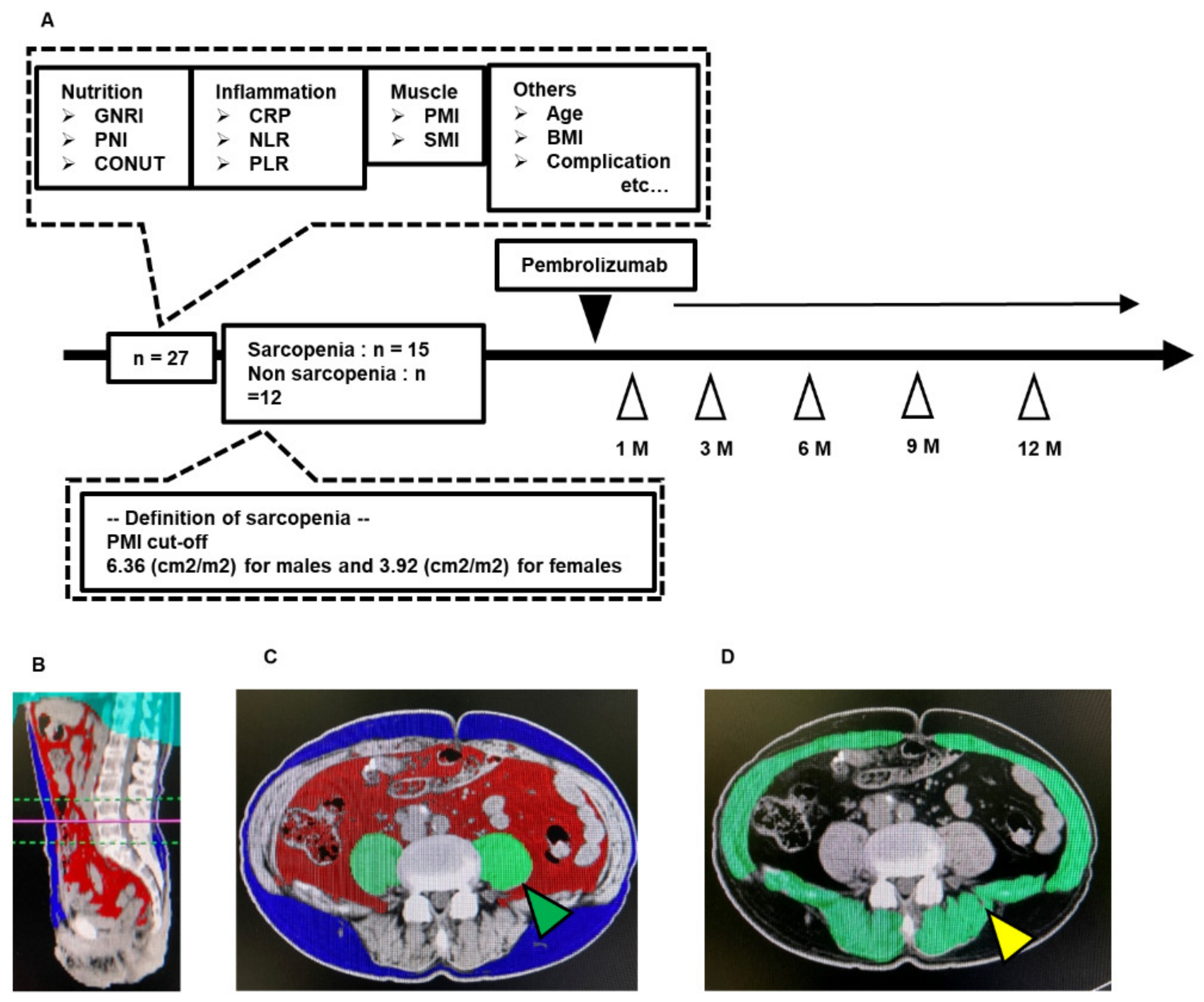 Diagnostics 10 00310 g001