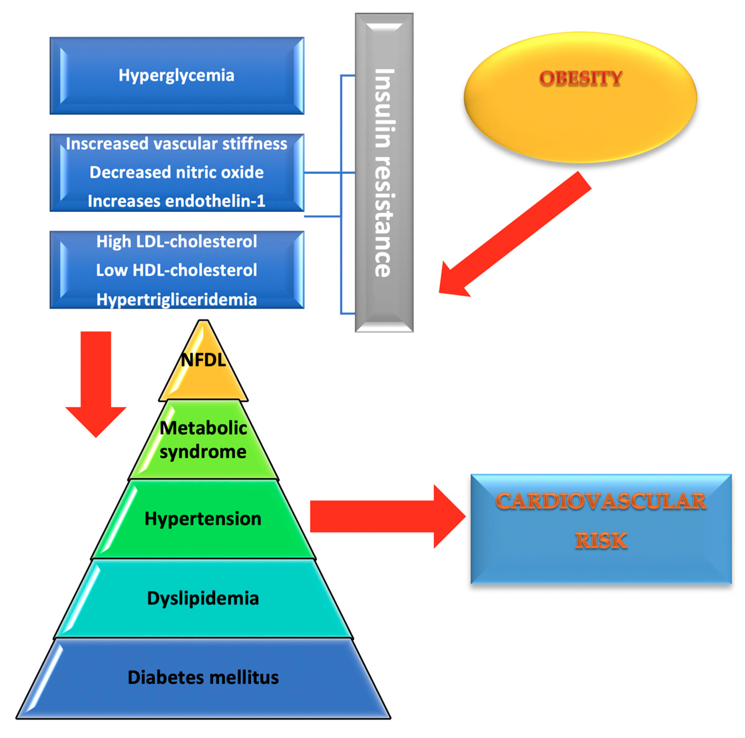 Diagnostics 10 00314 g001