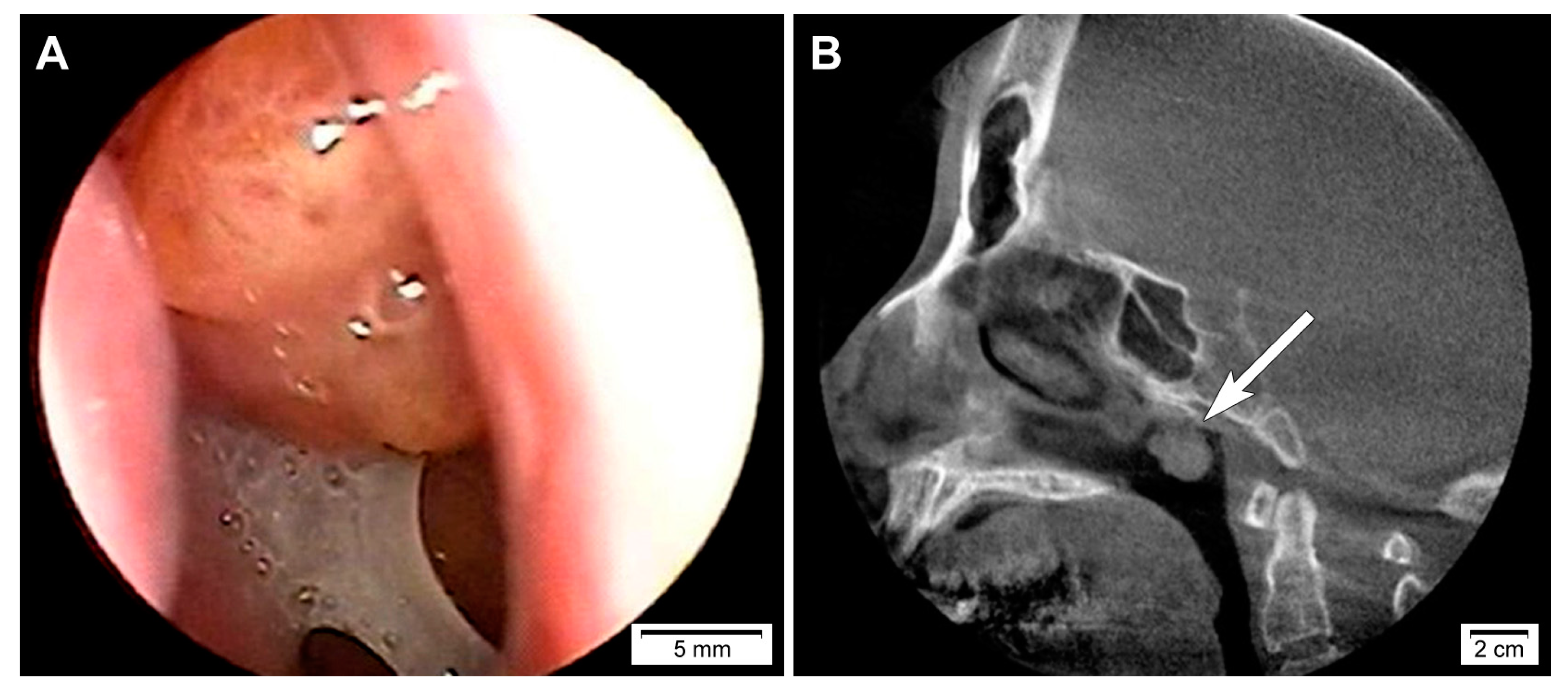 Diagnostics 10 00323 g001