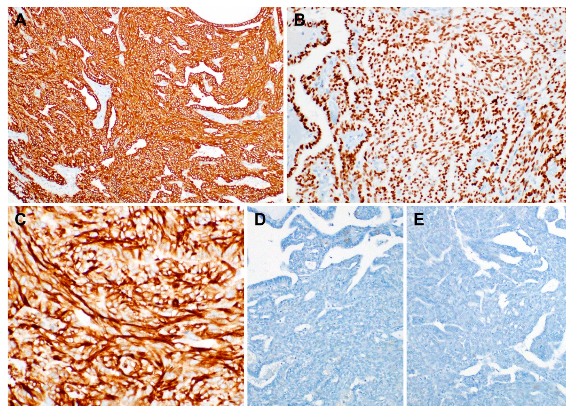 Diagnostics 10 00323 g004
