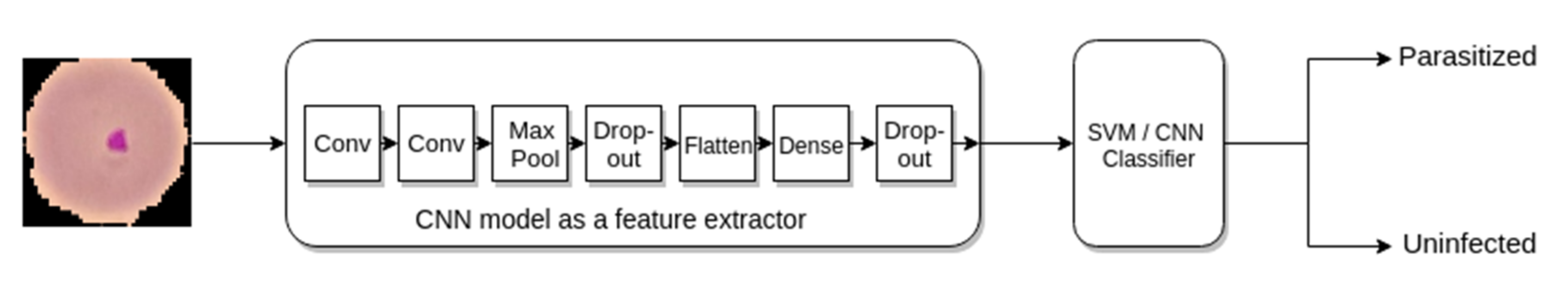 Diagnostics 10 00329 g007