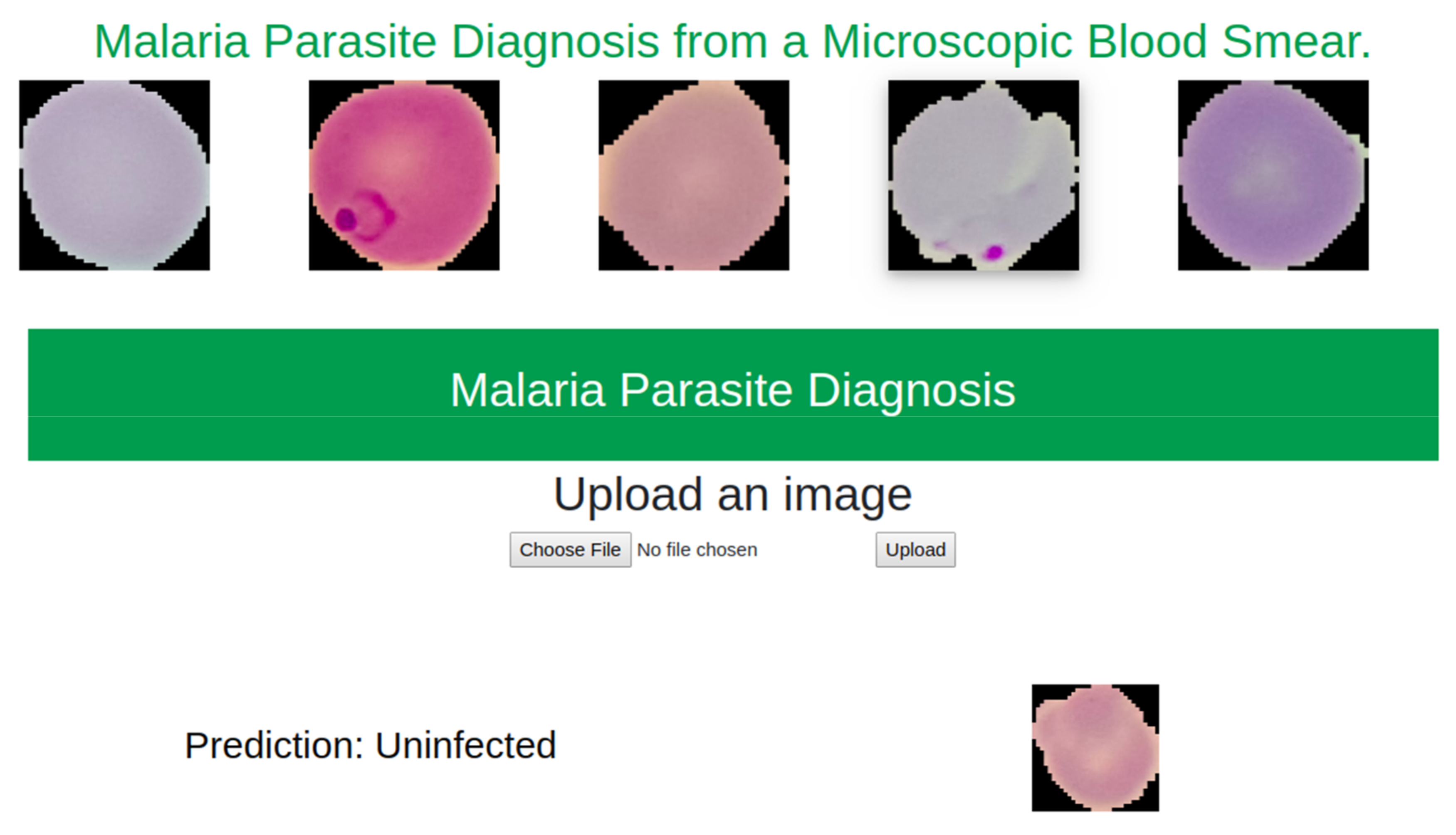 Diagnostics 10 00329 g016