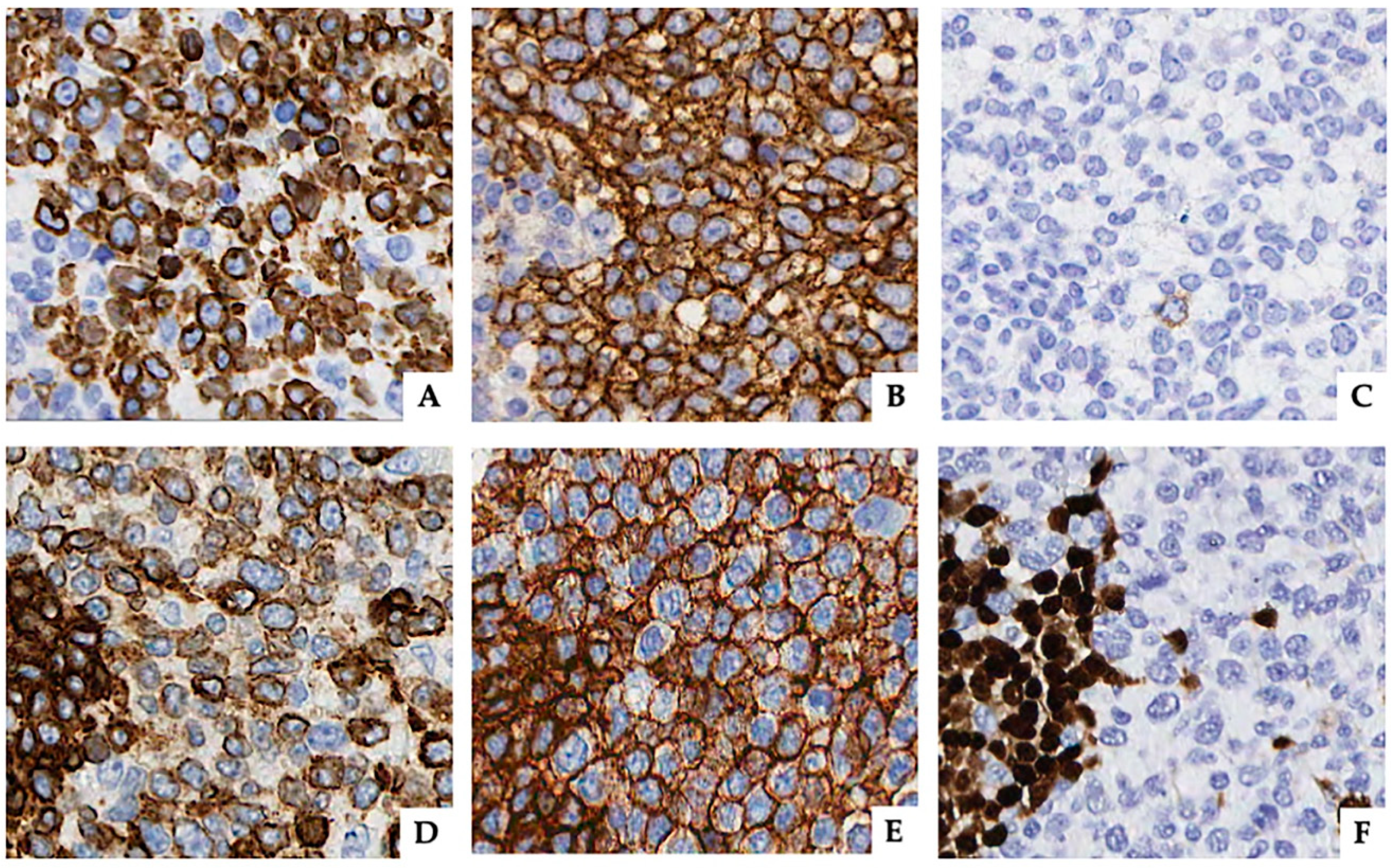 Diagnostics 10 00341 g002