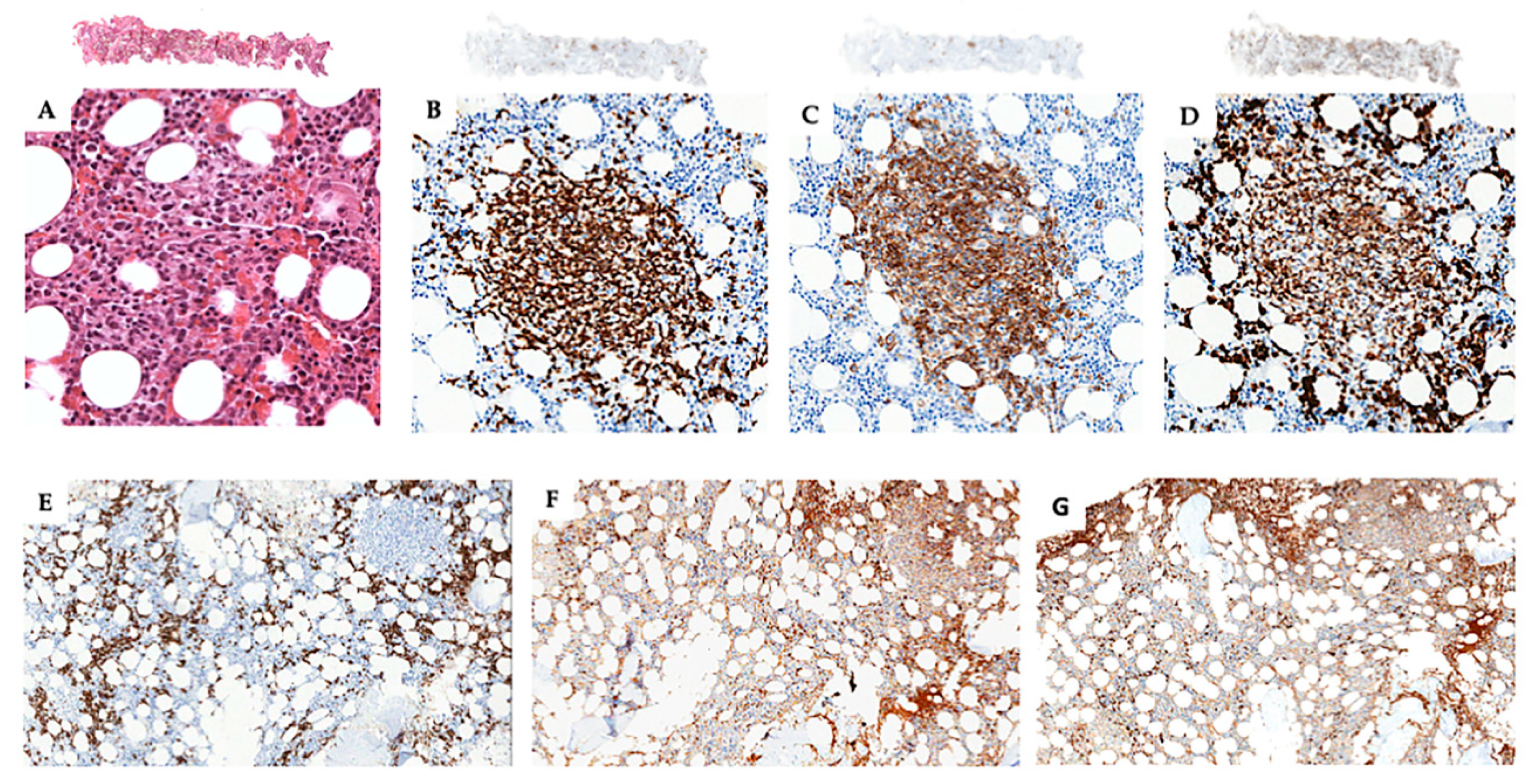 Diagnostics 10 00341 g004
