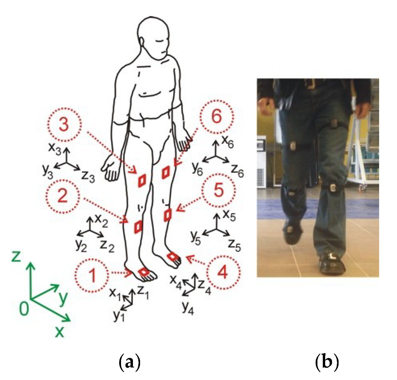 Diagnostics 10 00342 g001