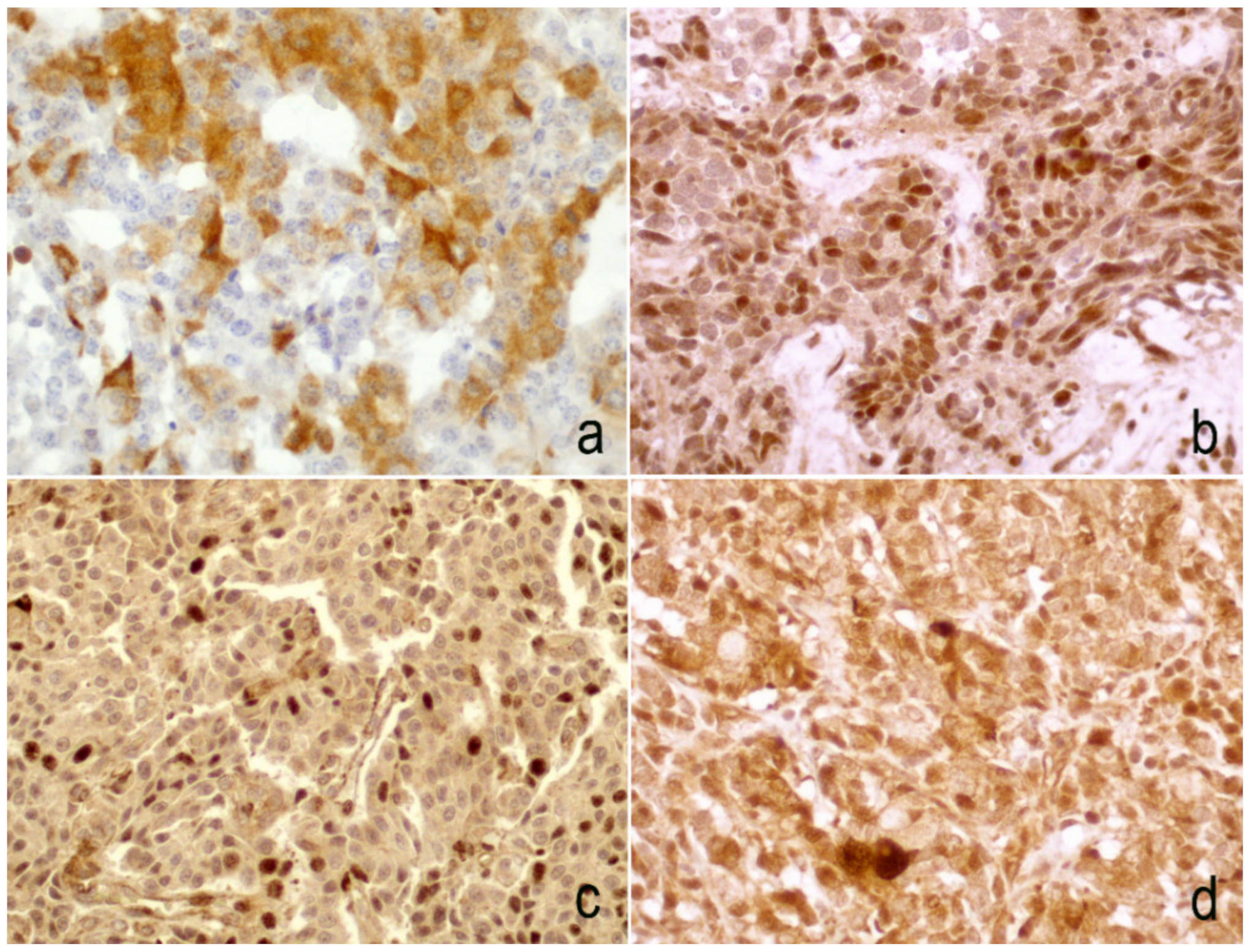 Diagnostics 10 00351 g001