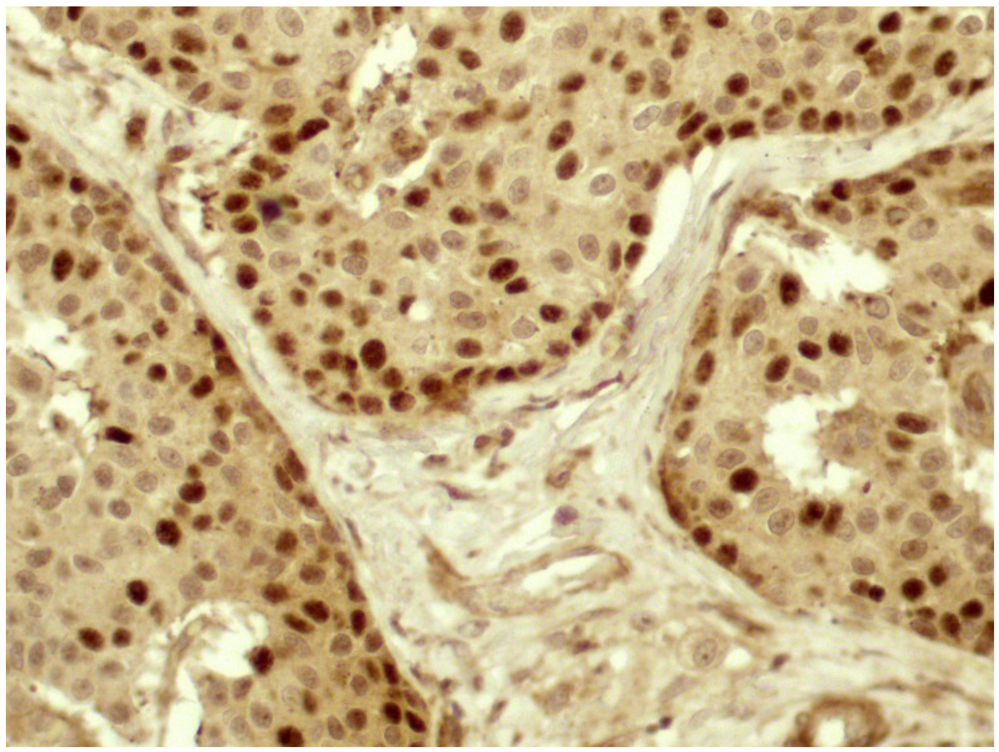 Diagnostics 10 00351 g002