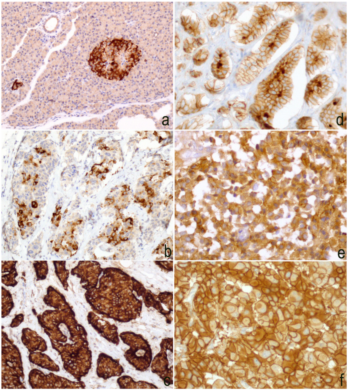 Diagnostics 10 00351 g005