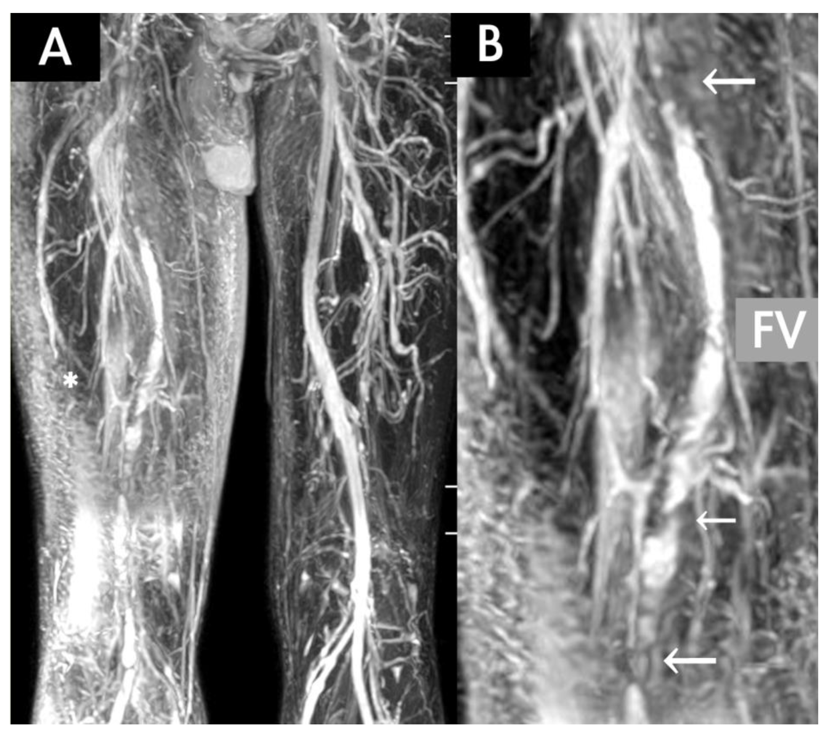 Diagnostics 10 00355 g002