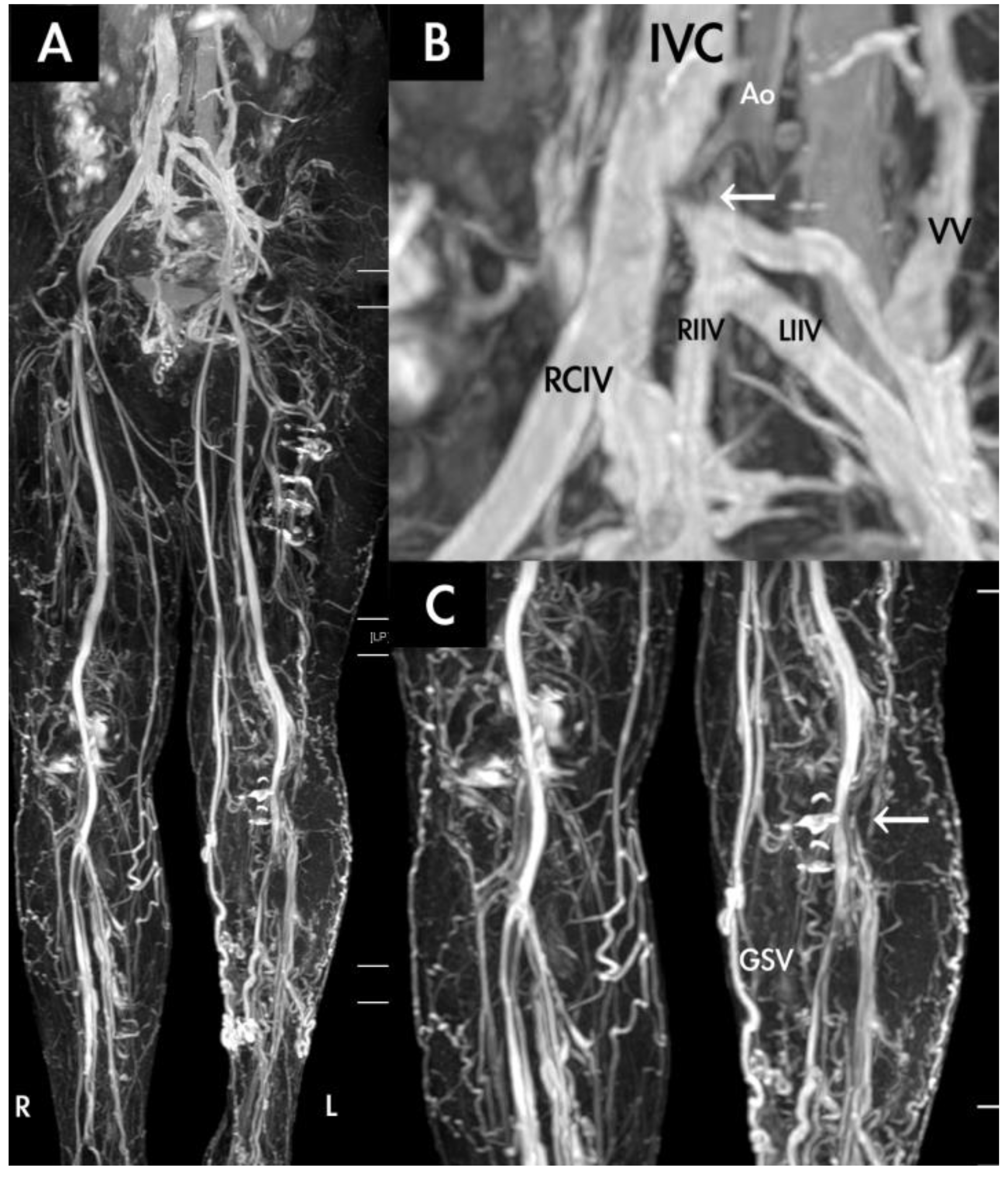 Diagnostics 10 00355 g003