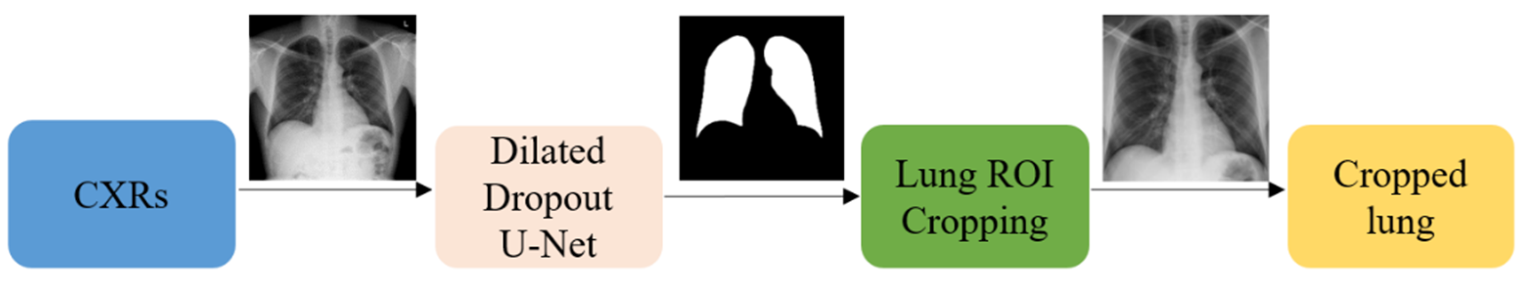 Diagnostics 10 00358 g003