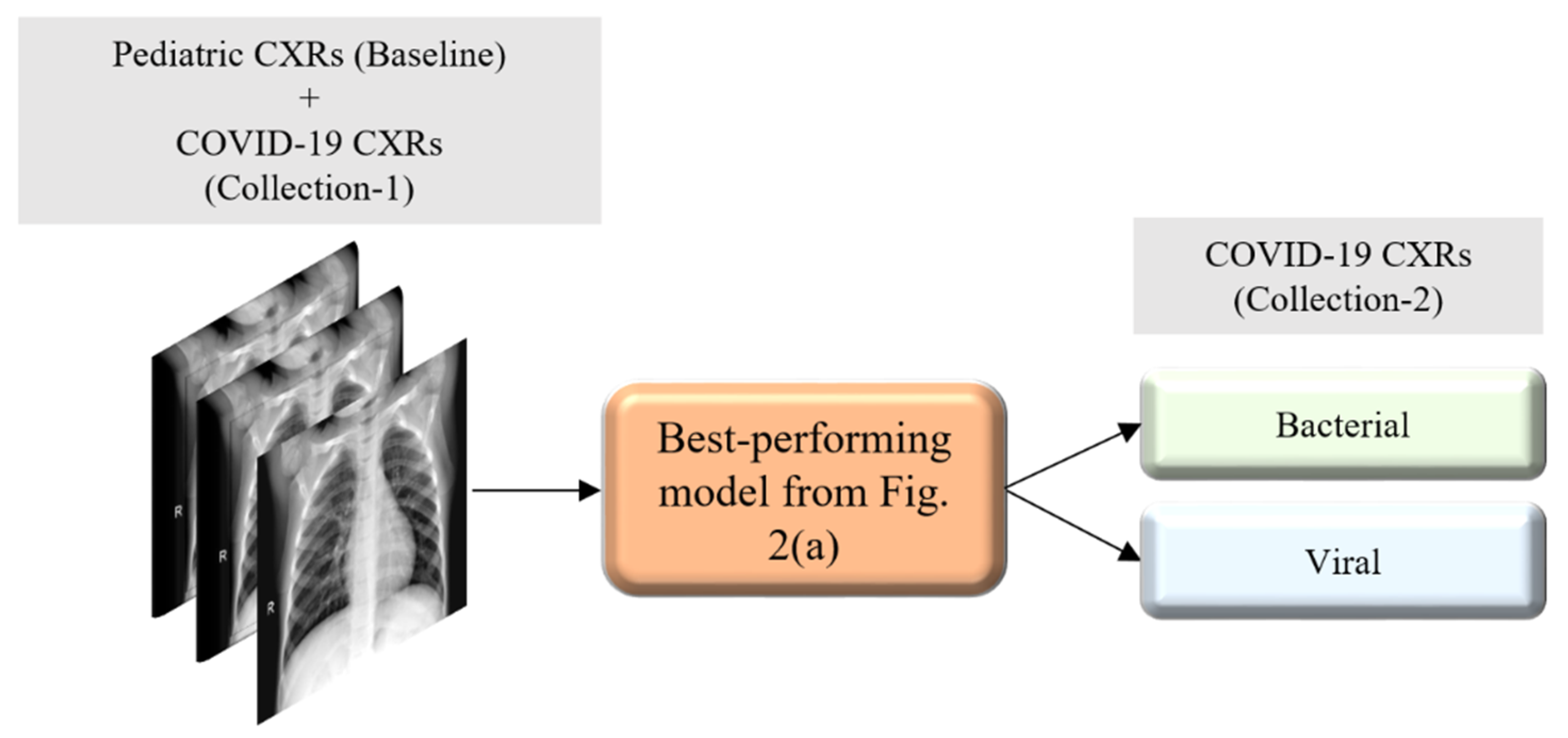 Diagnostics 10 00358 g006