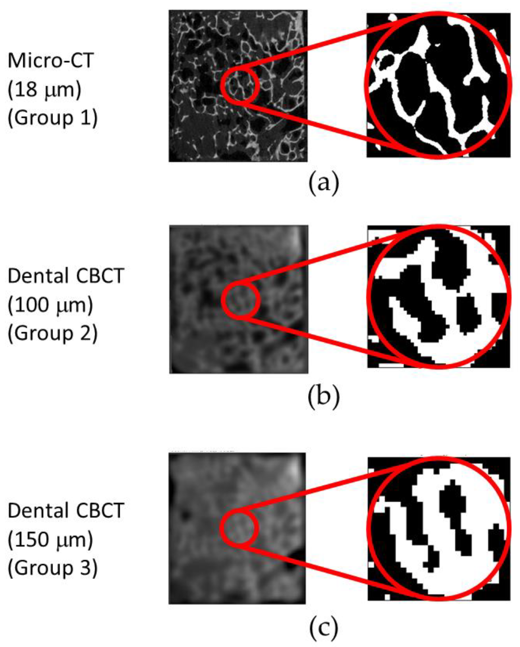 Diagnostics 10 00368 g001 Diagnostics 10 00368 g001
