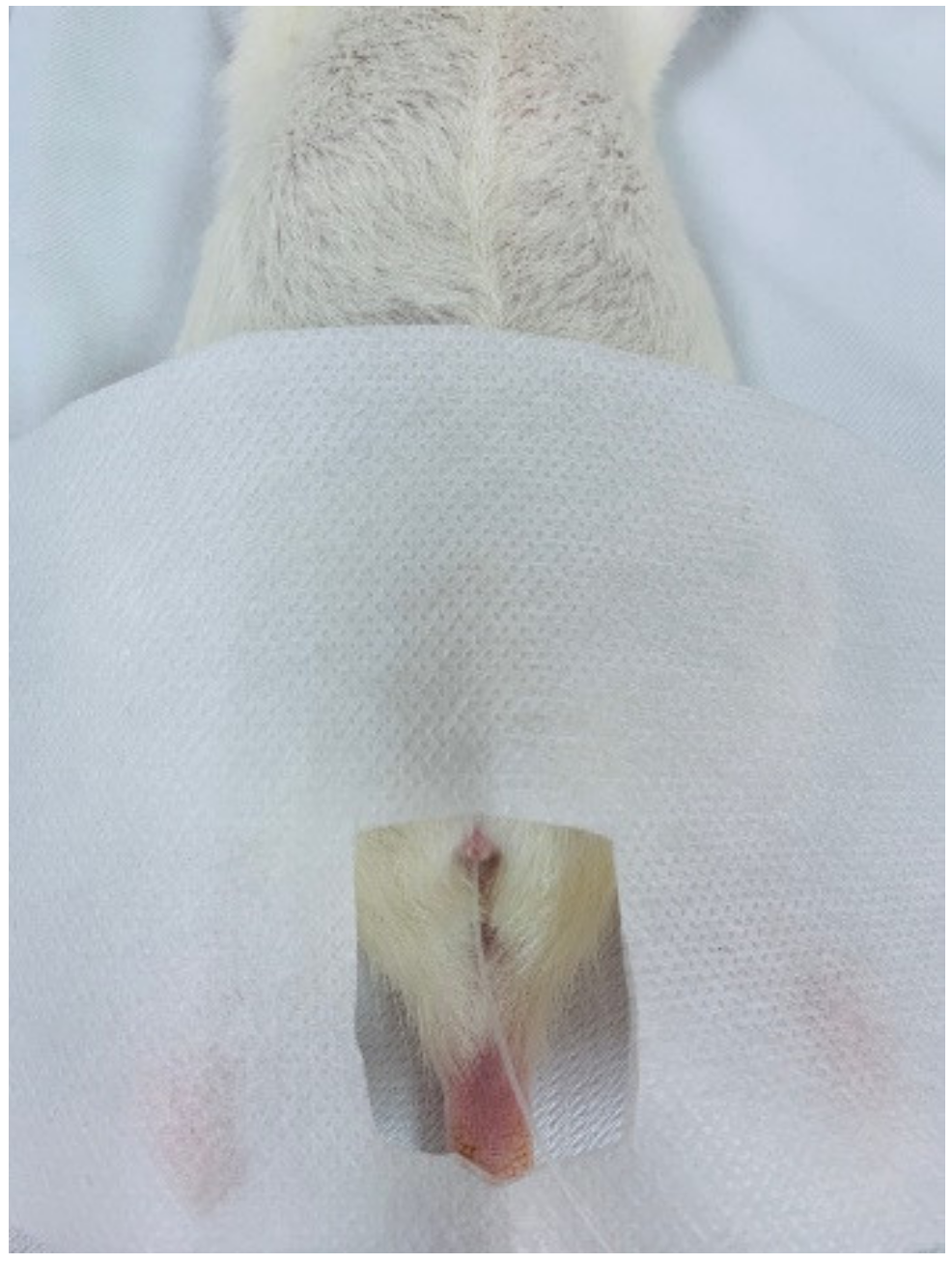 Diagnostics 10 00381 g001 Diagnostics 10 00381 g001