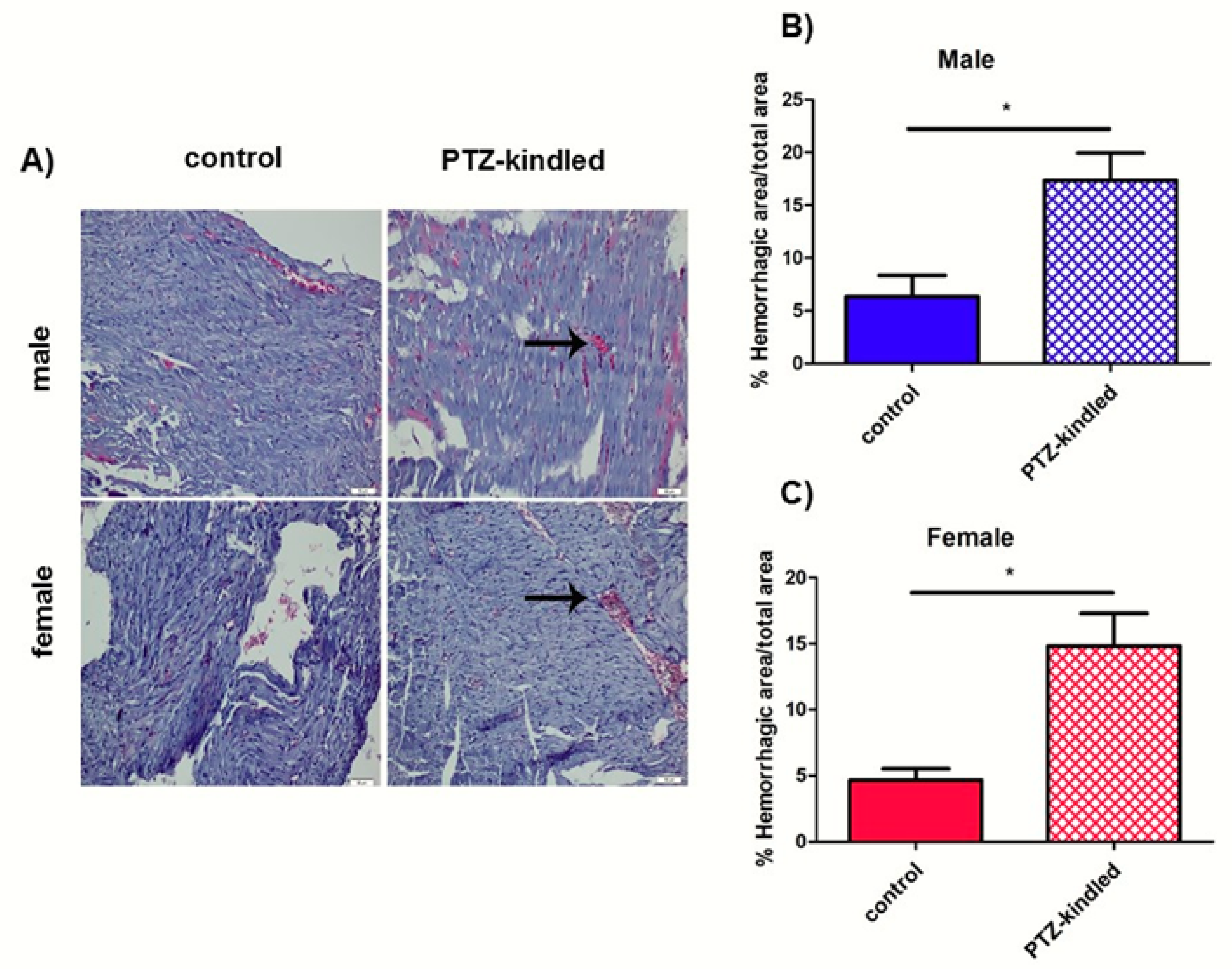 Diagnostics 10 00388 g005