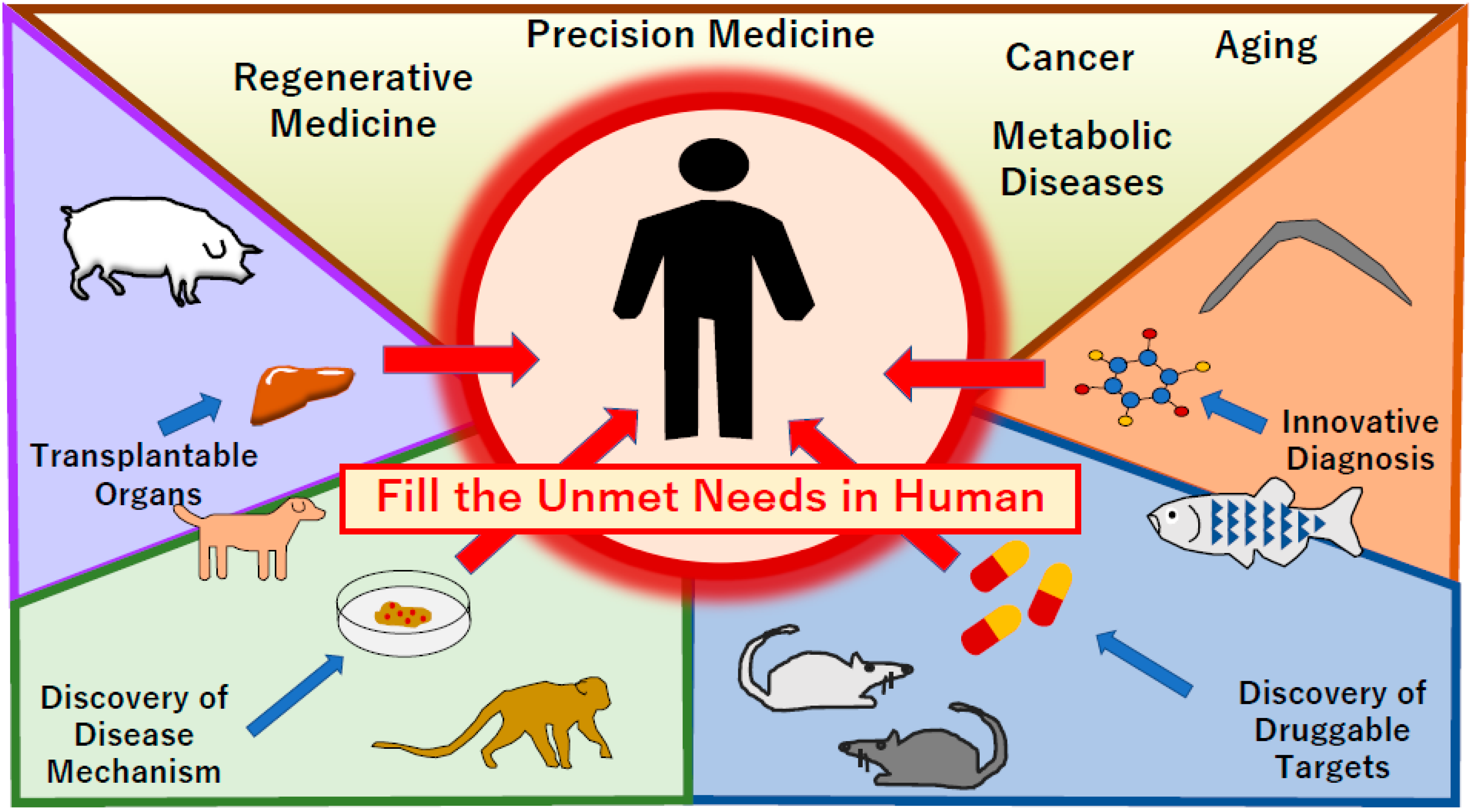 Diagnostics 10 00392 g001