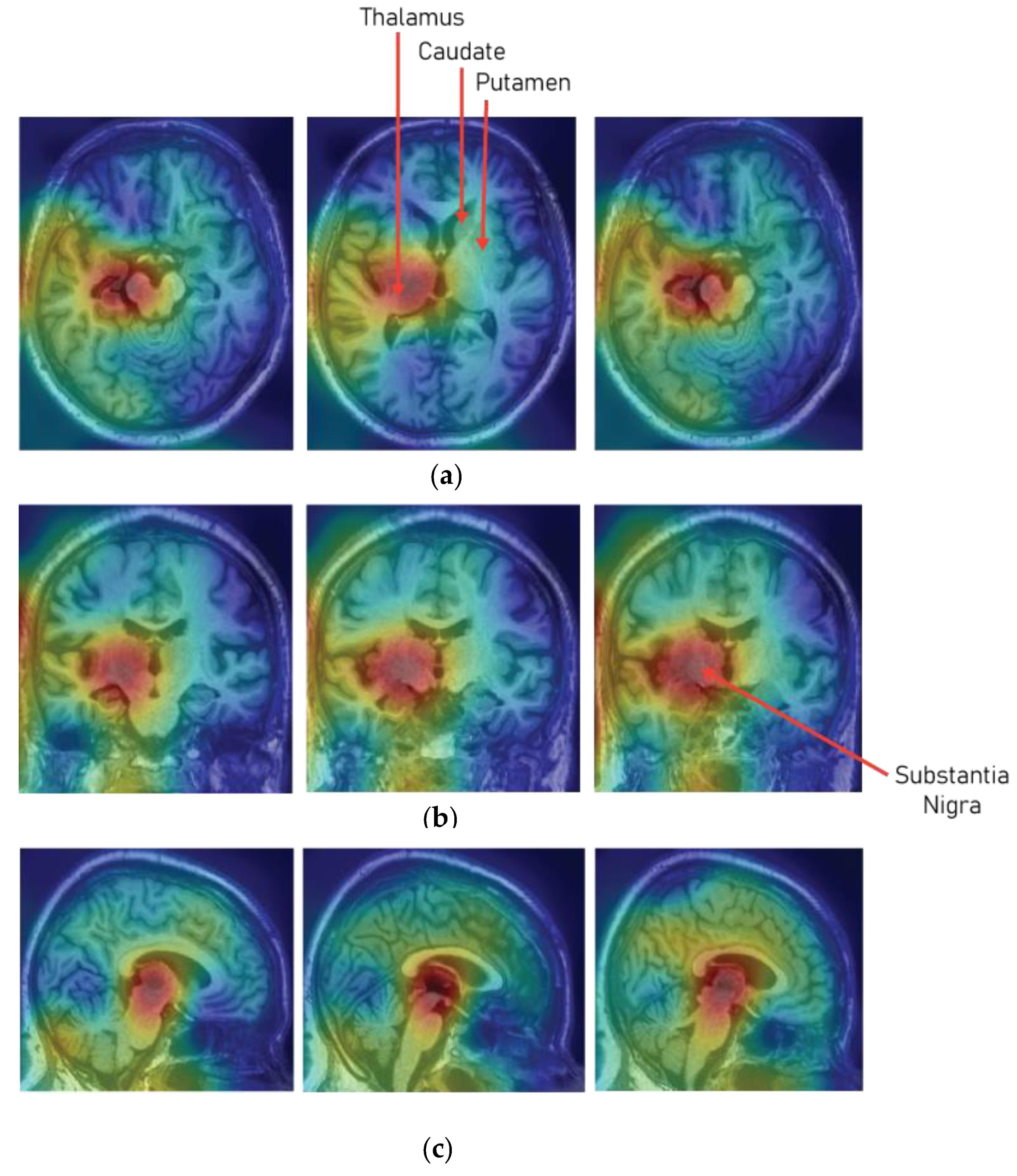 Diagnostics 10 00402 g008