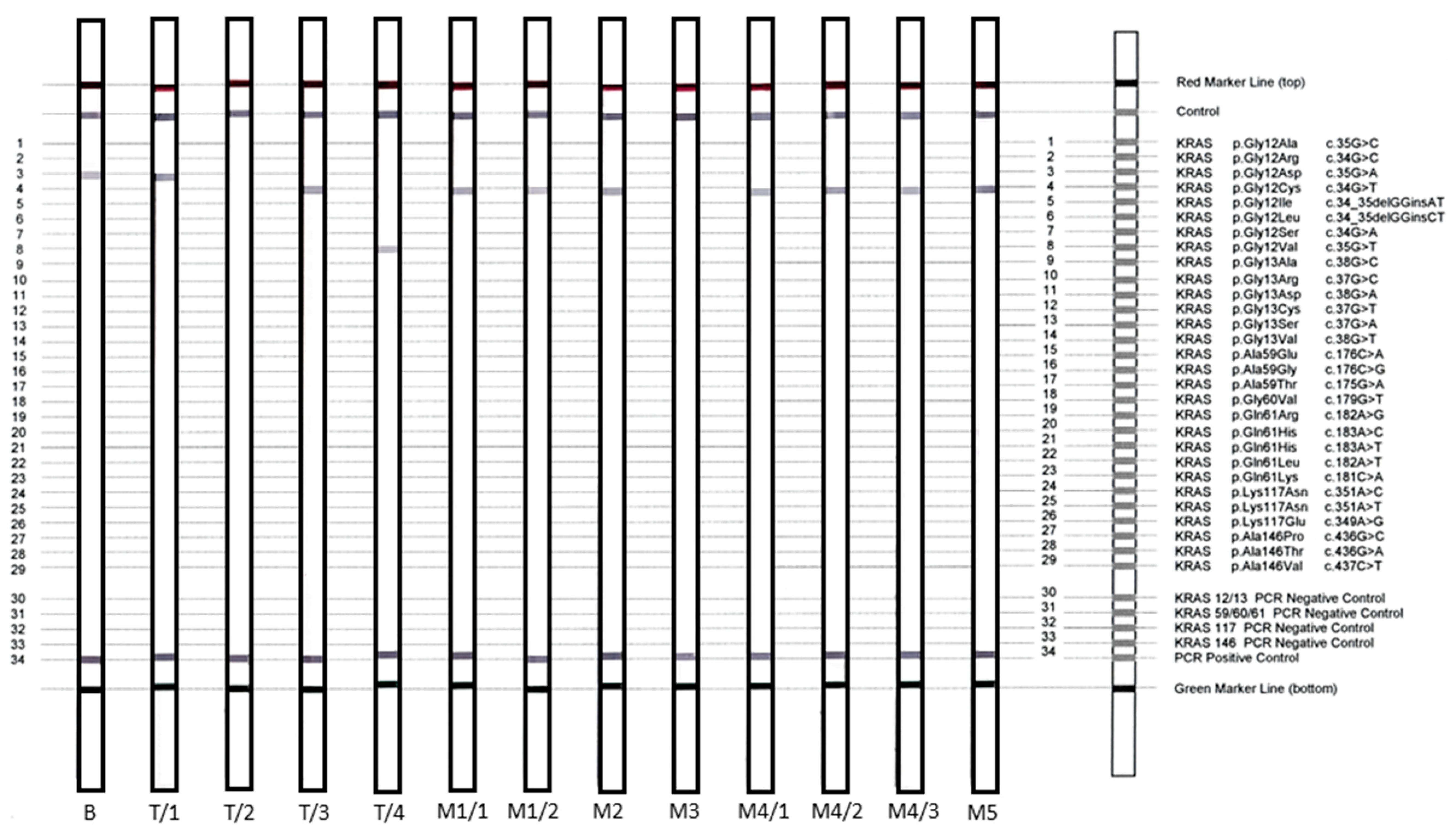 Diagnostics 10 00407 g002 Diagnostics 10 00407 g002