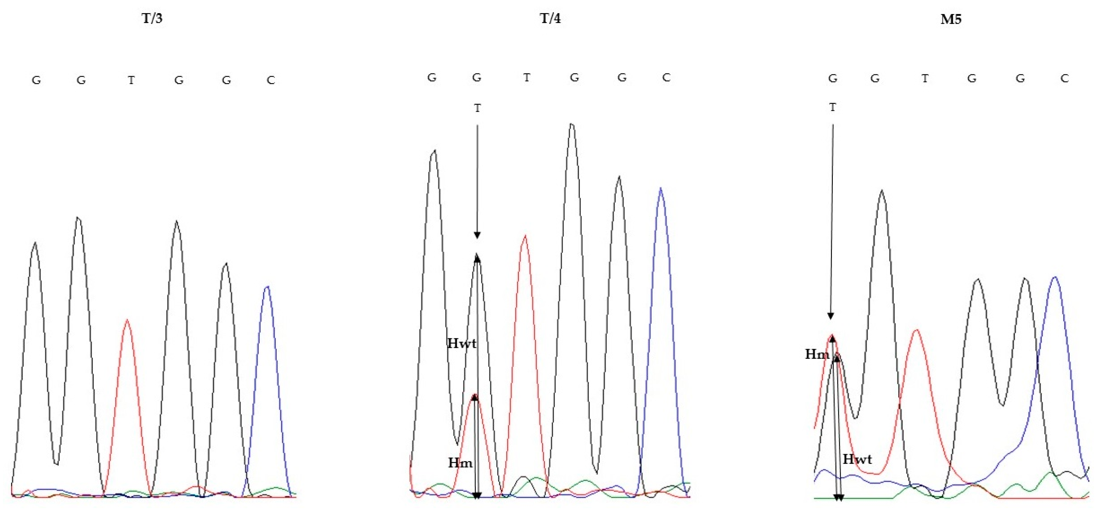 Diagnostics 10 00407 g003 Diagnostics 10 00407 g003