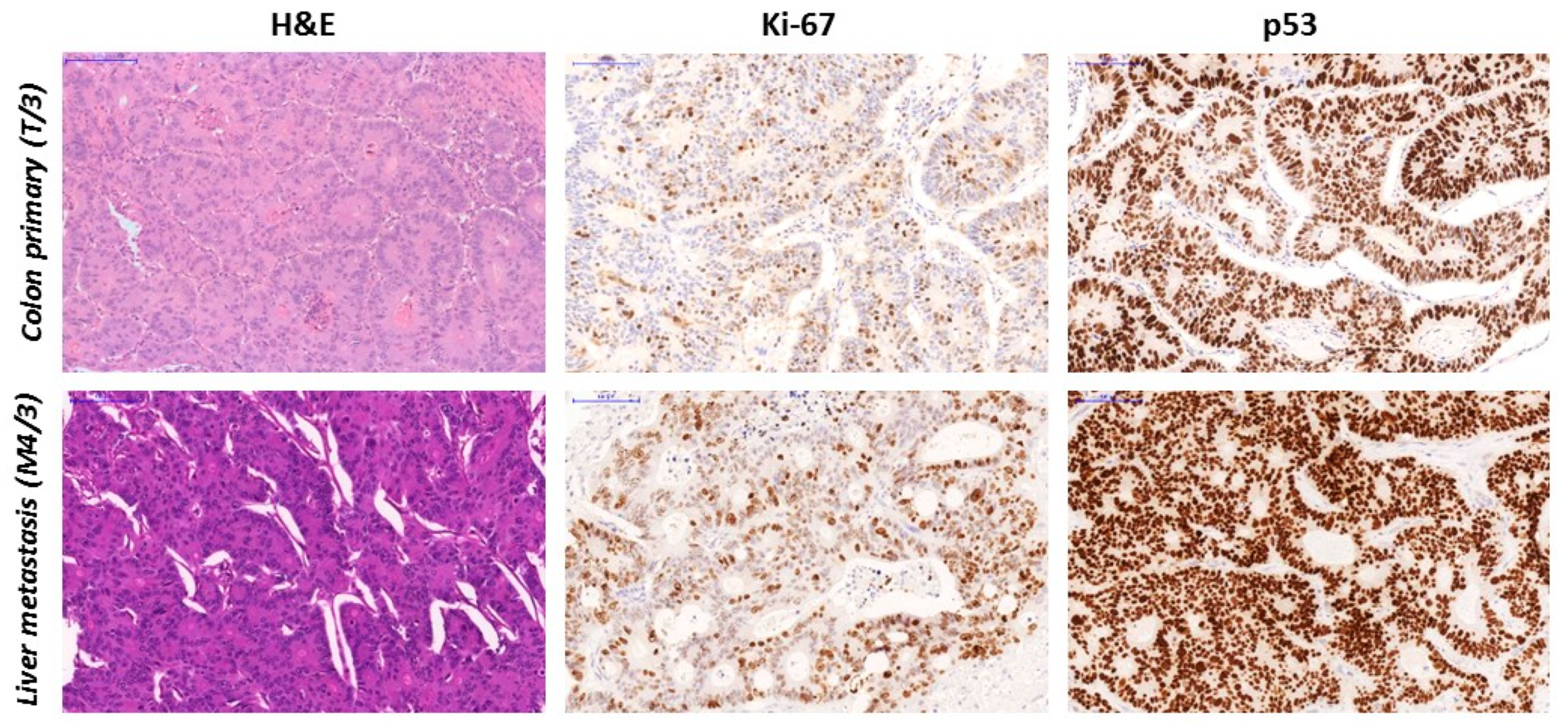 Diagnostics 10 00407 g004 Diagnostics 10 00407 g004