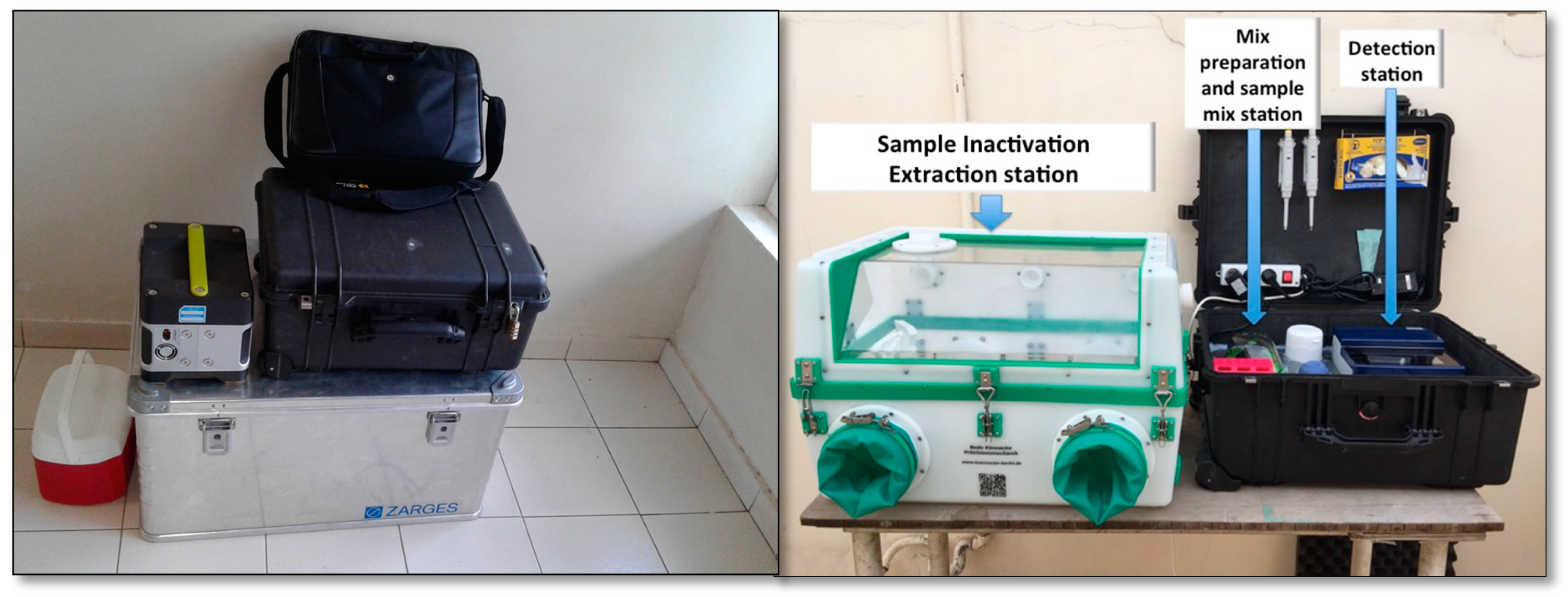 Diagnostics 10 00408 g002