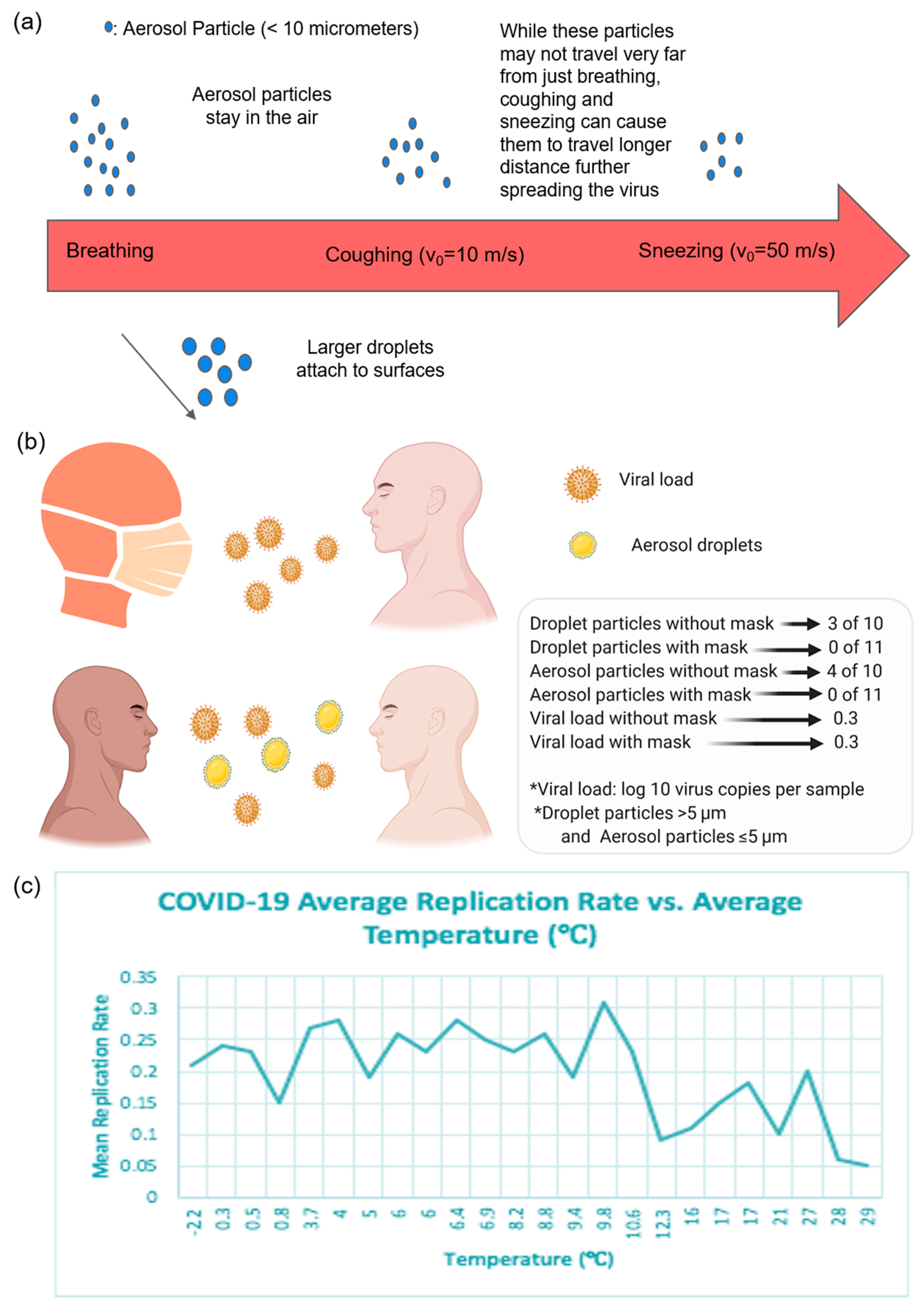 Diagnostics 10 00409 g002