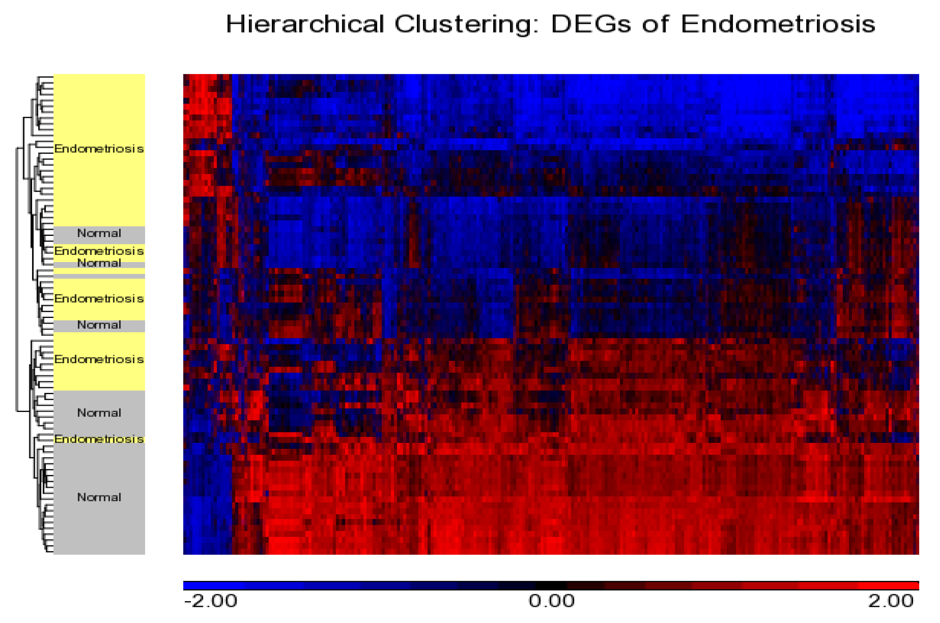 Diagnostics 10 00416 g002