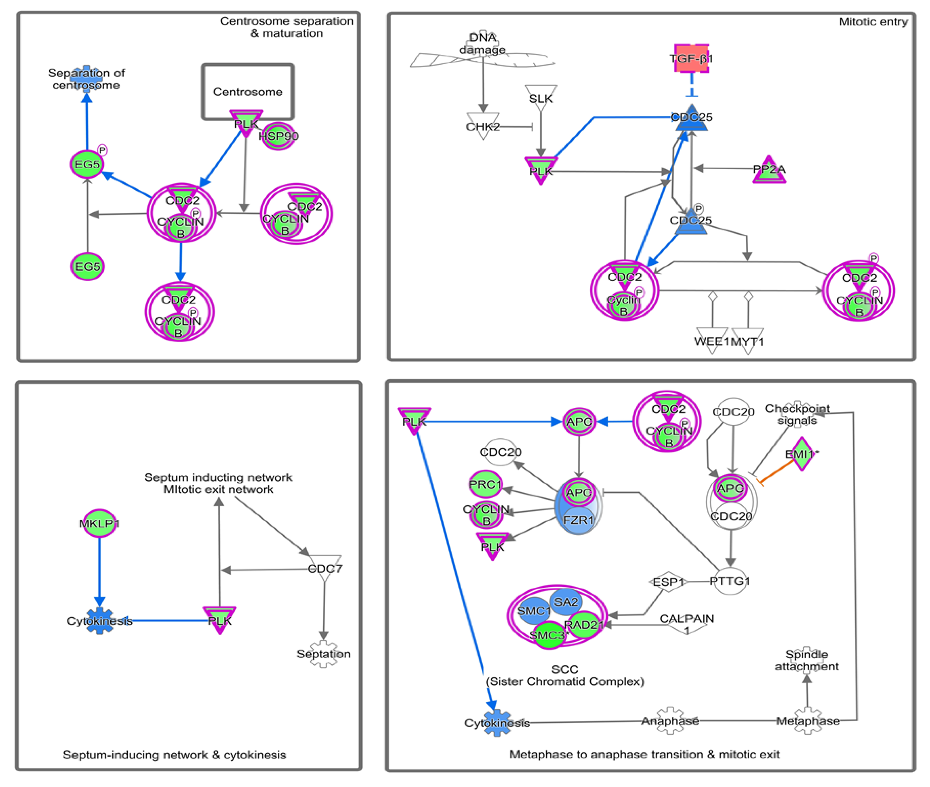 Diagnostics 10 00416 g004