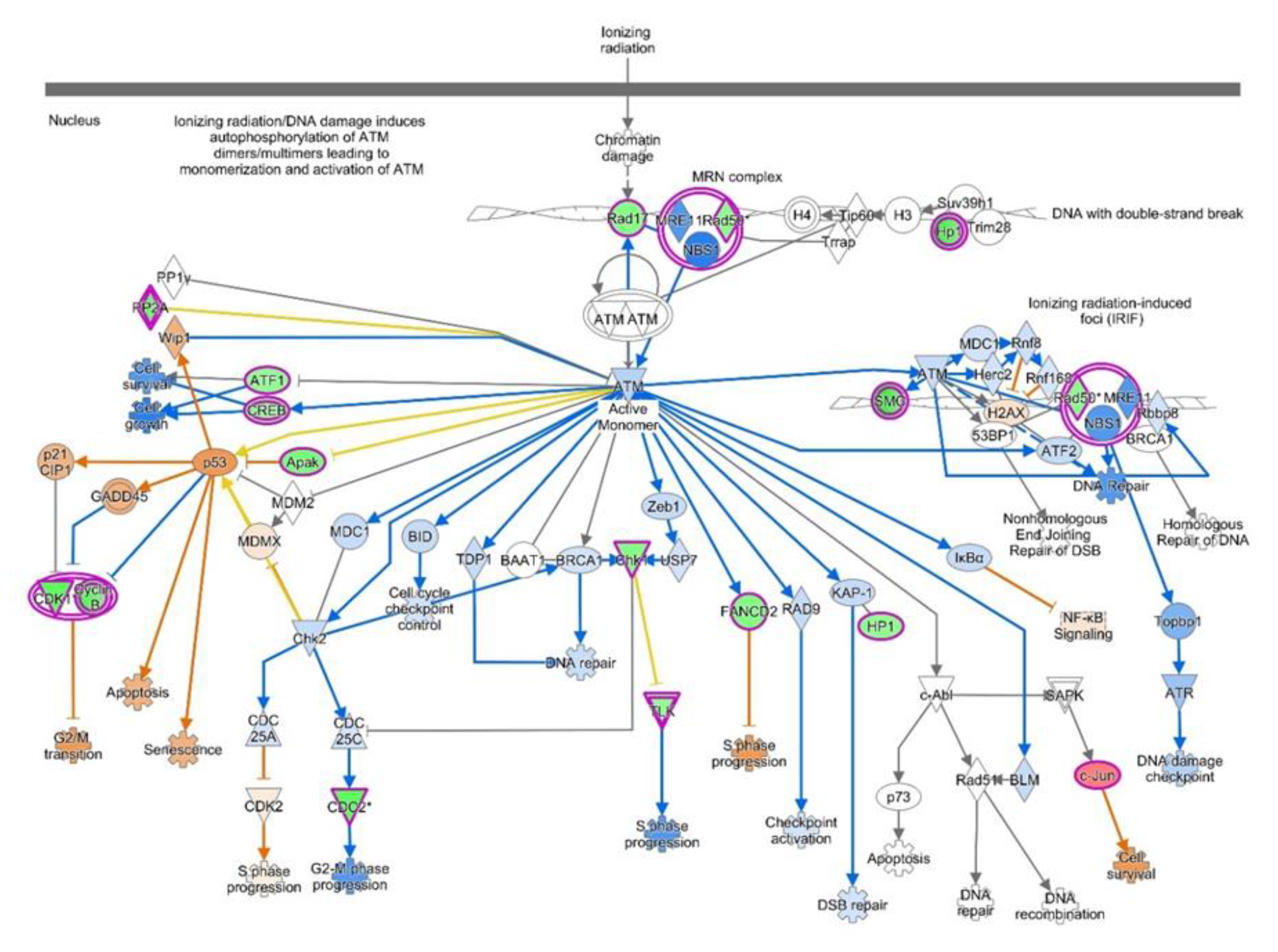 Diagnostics 10 00416 g005