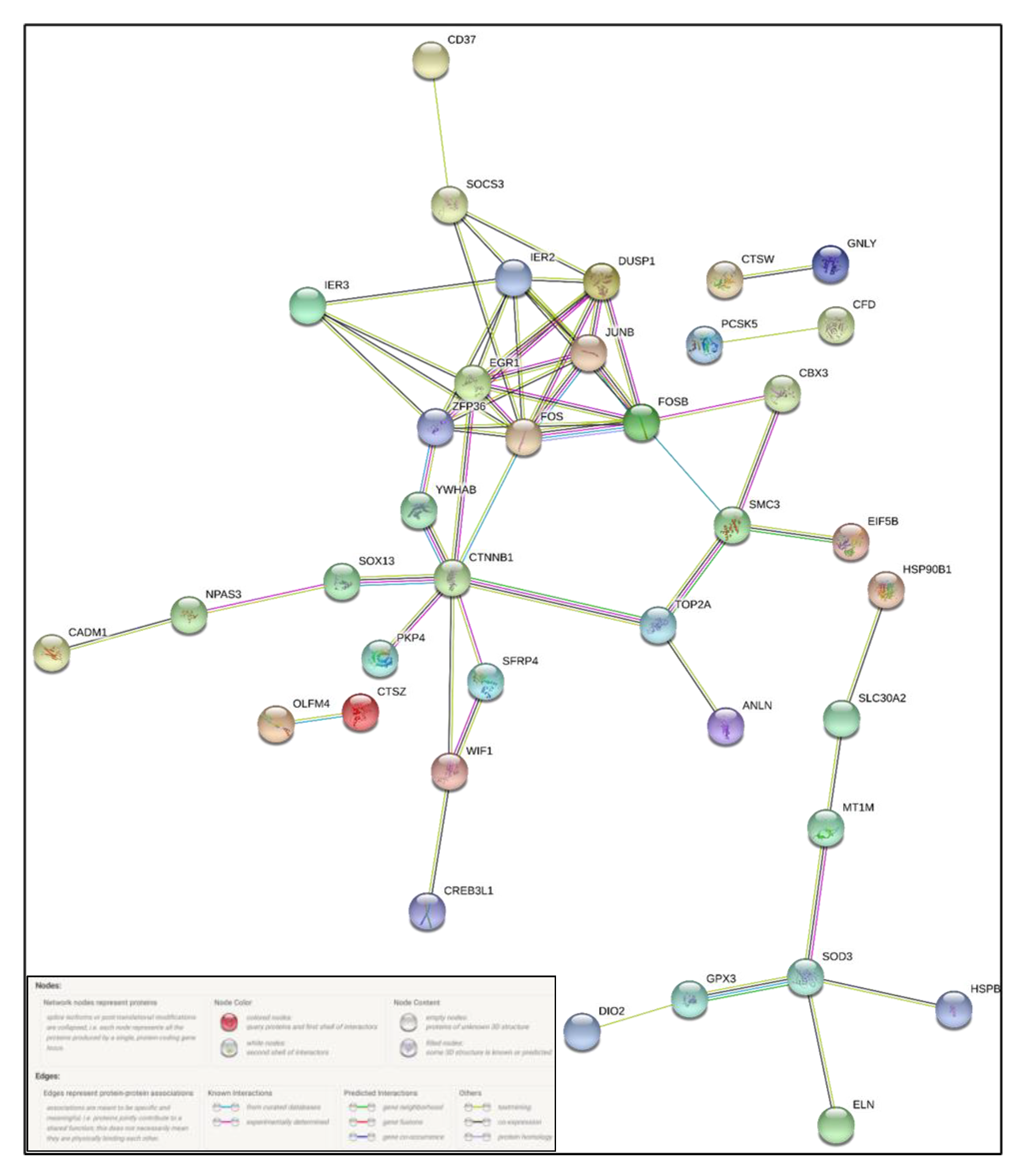 Diagnostics 10 00416 g006