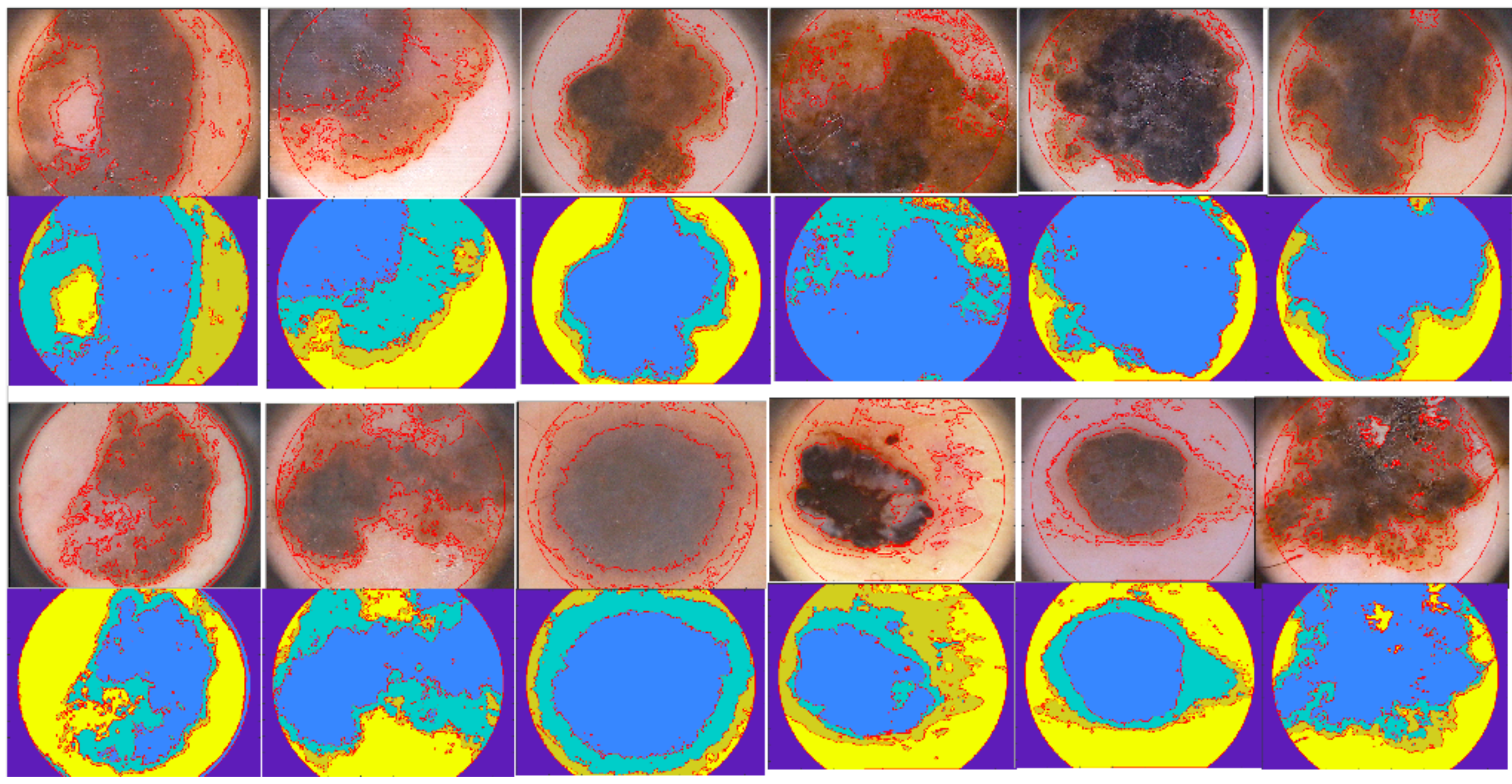 Diagnostics 10 00423 g004 Diagnostics 10 00423 g004