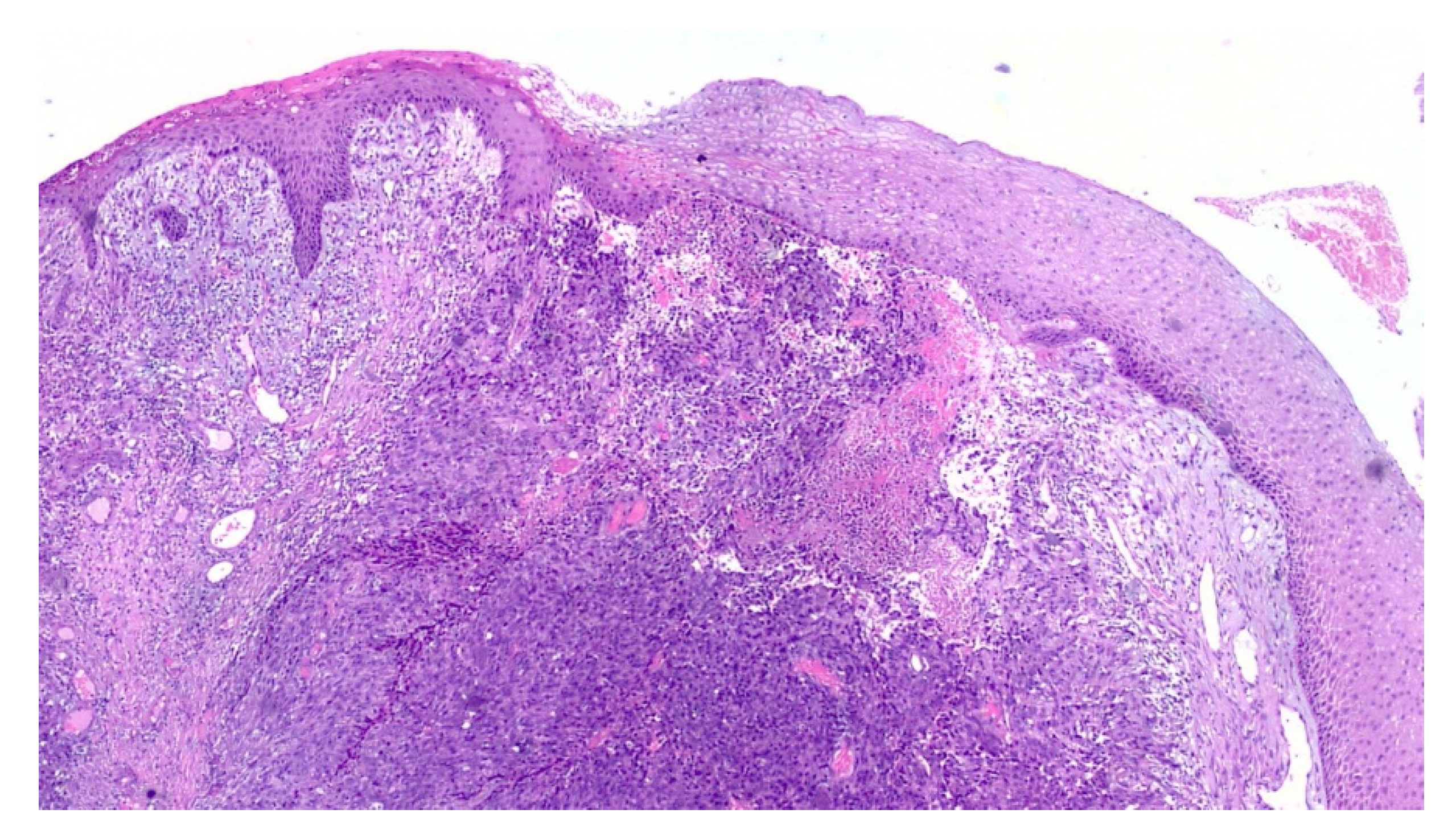 Diagnostics 10 00424 g004