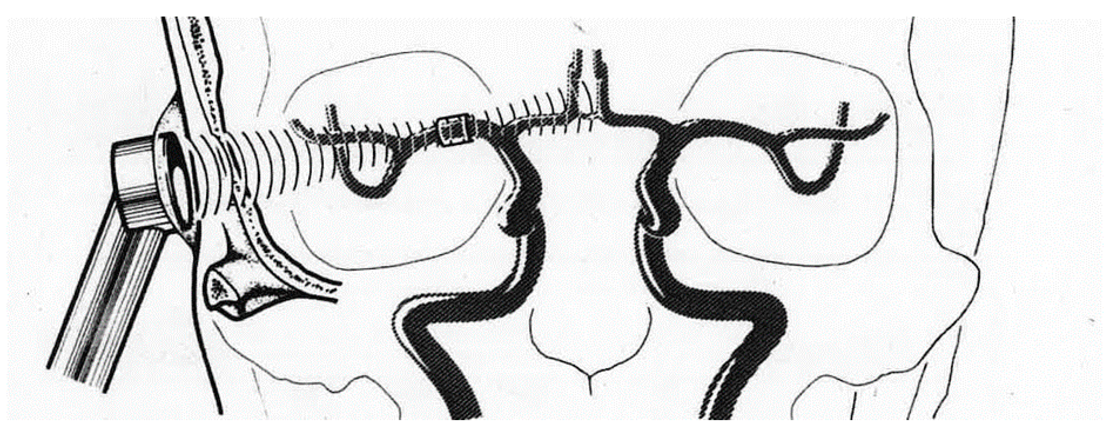 Diagnostics 10 00427 g005 Diagnostics 10 00427 g005