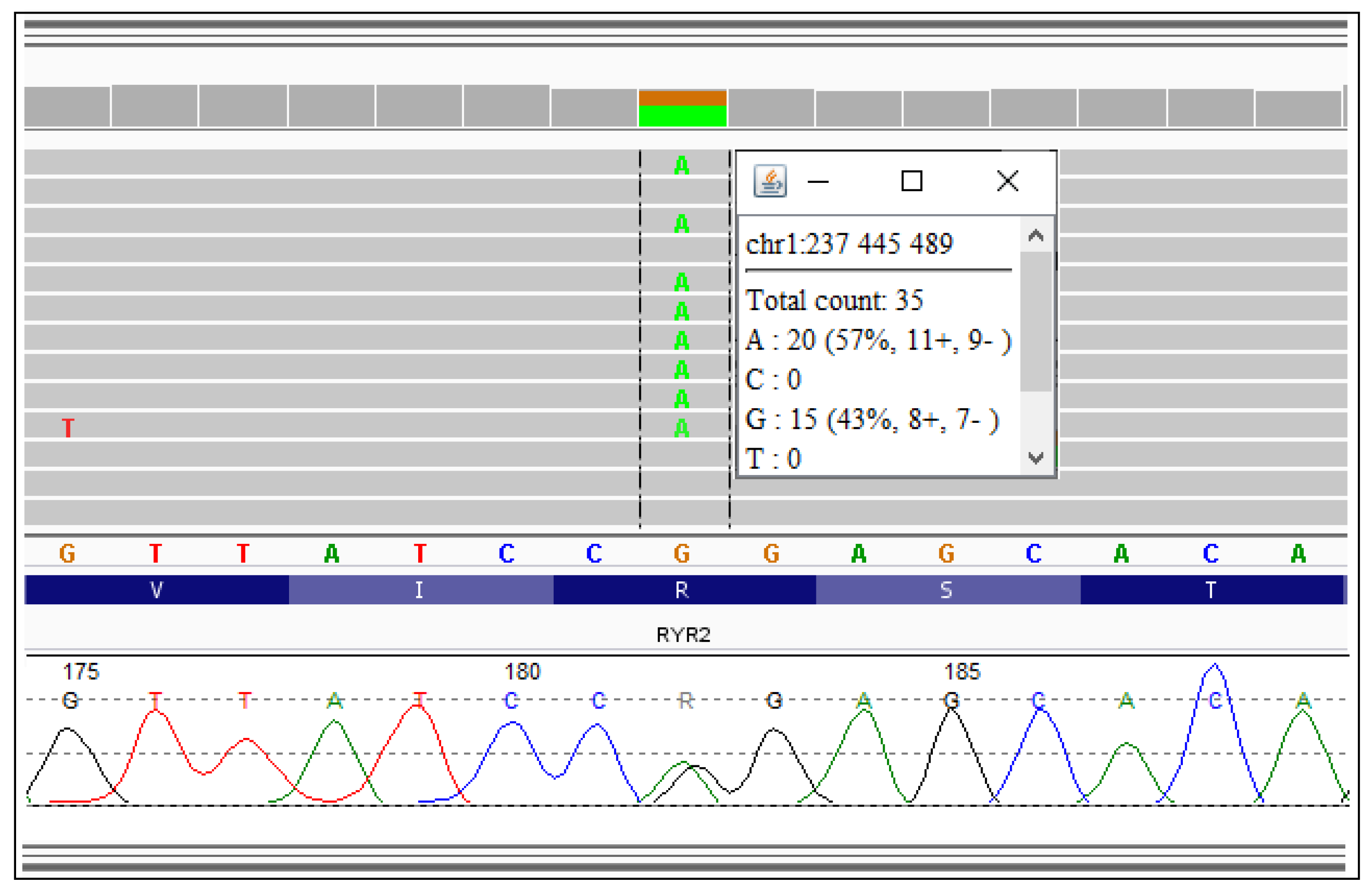 Diagnostics 10 00435 g003