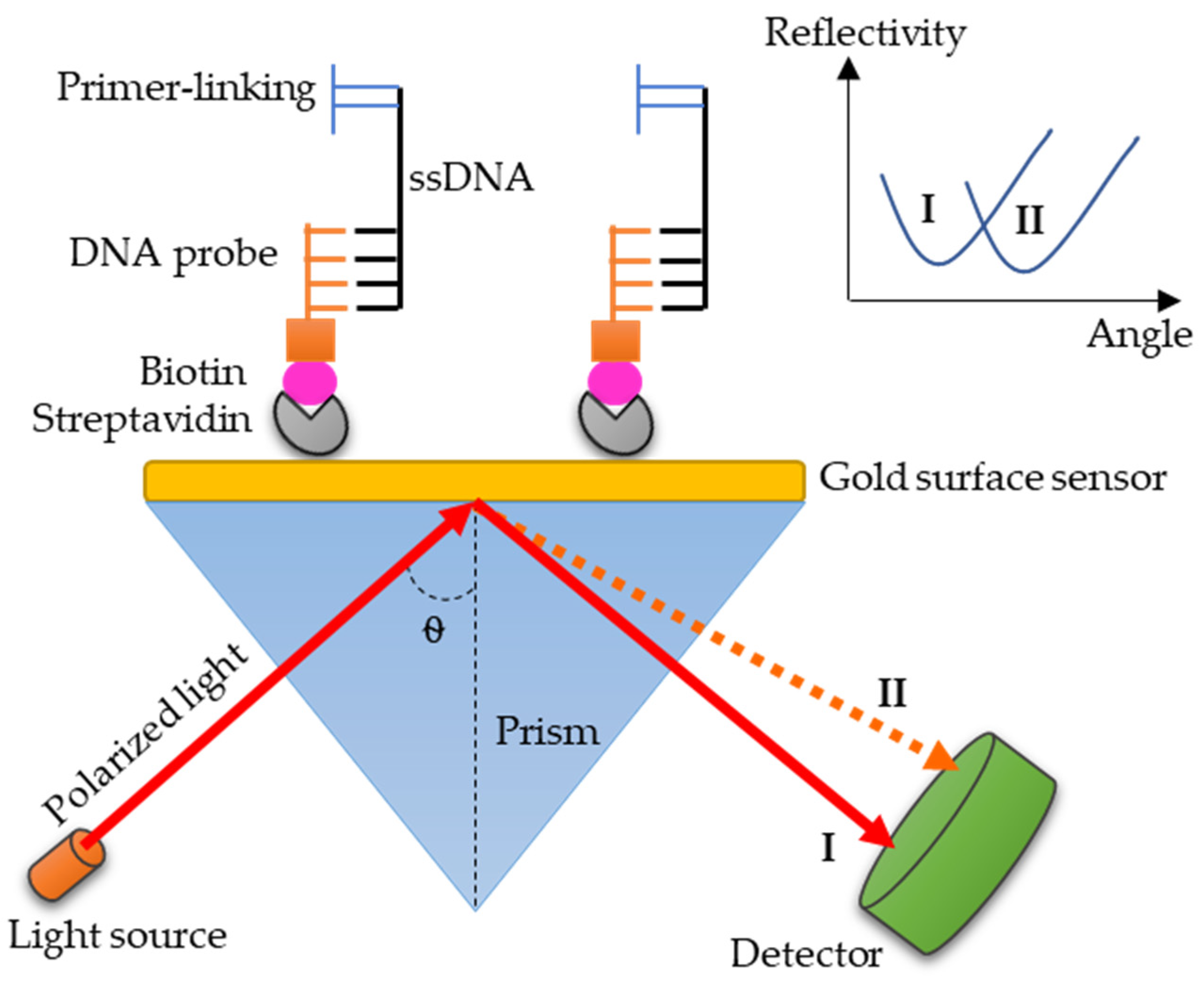 Diagnostics 10 00438 g004