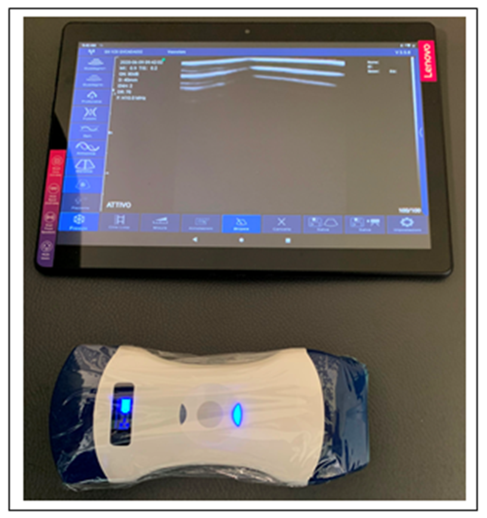 Diagnostics 10 00440 g002