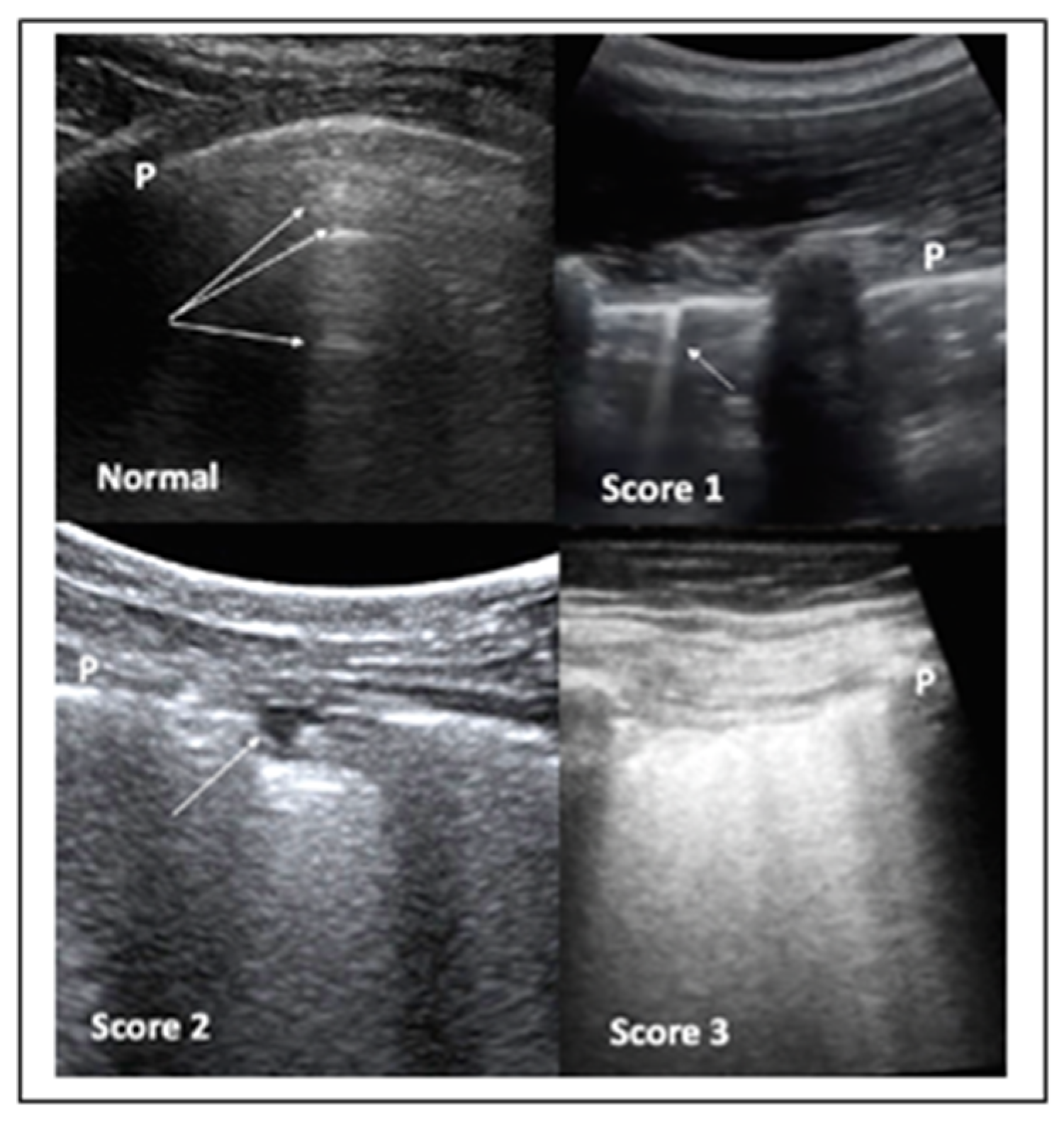 Diagnostics 10 00440 g003