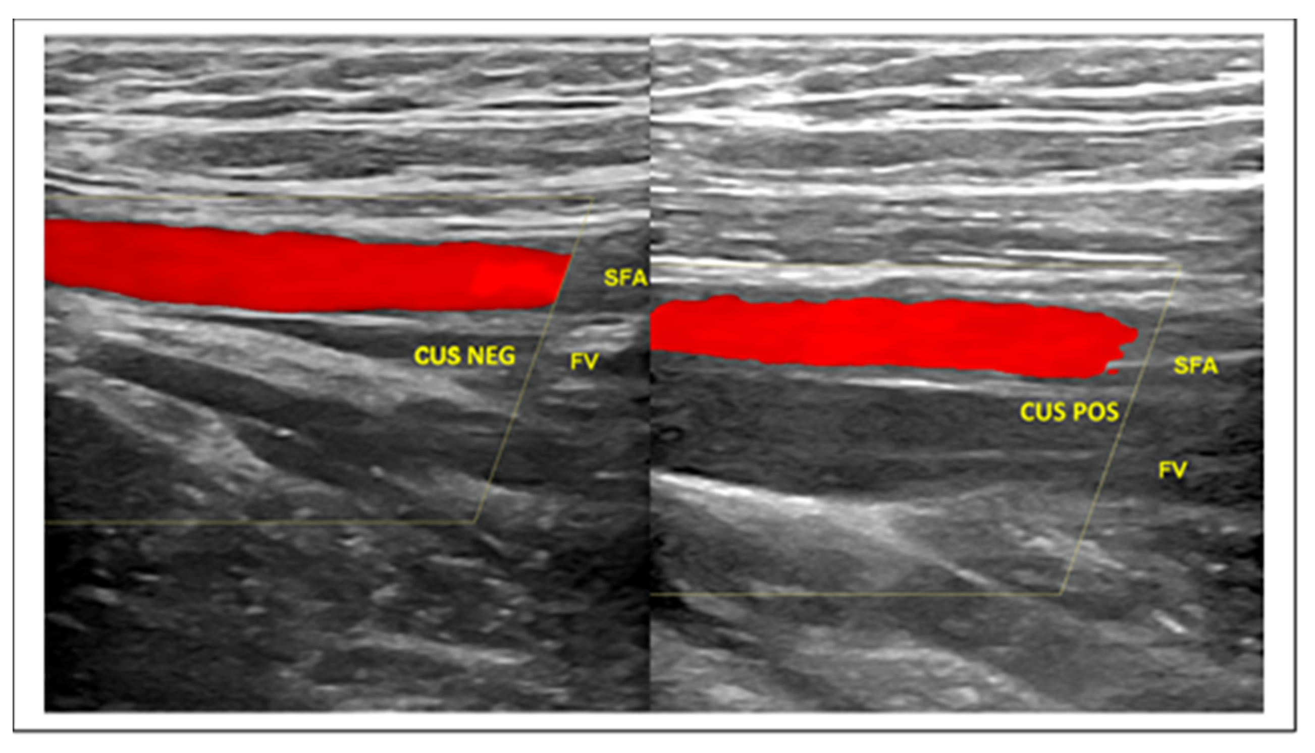 Diagnostics 10 00440 g004