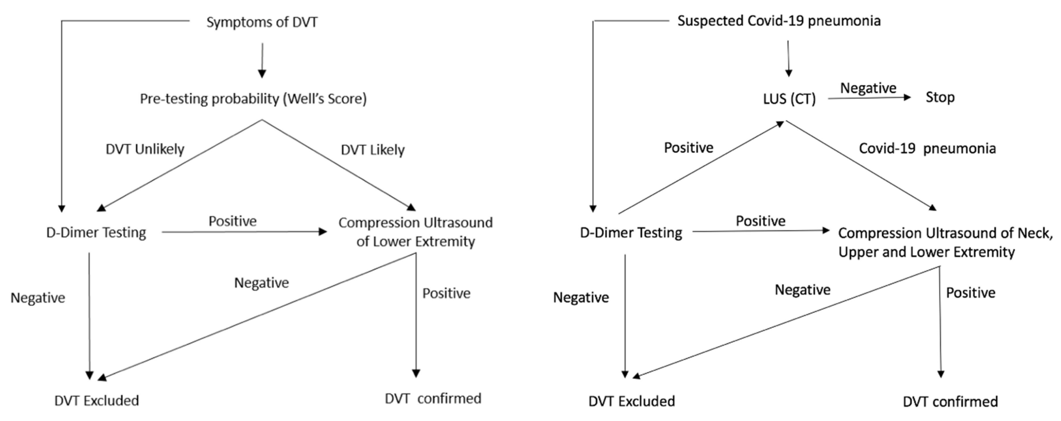Diagnostics 10 00440 g005