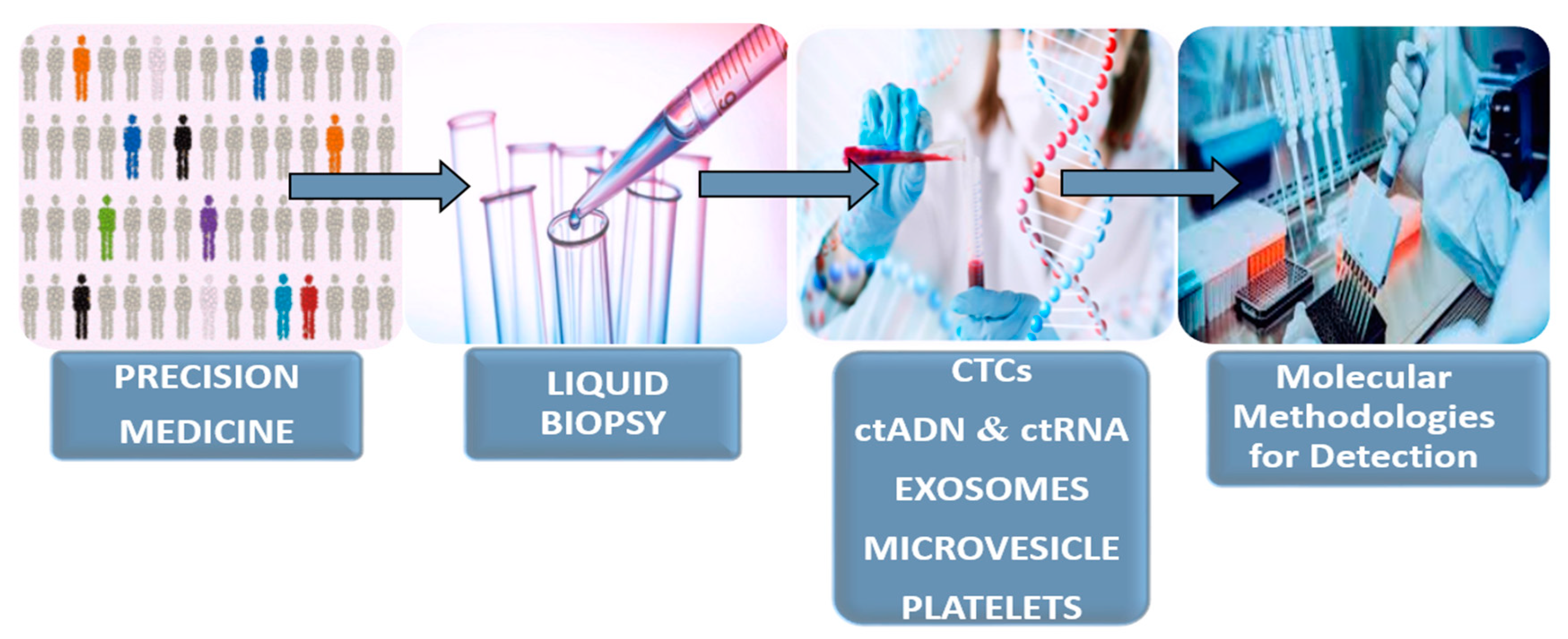 Diagnostics 10 00443 g001