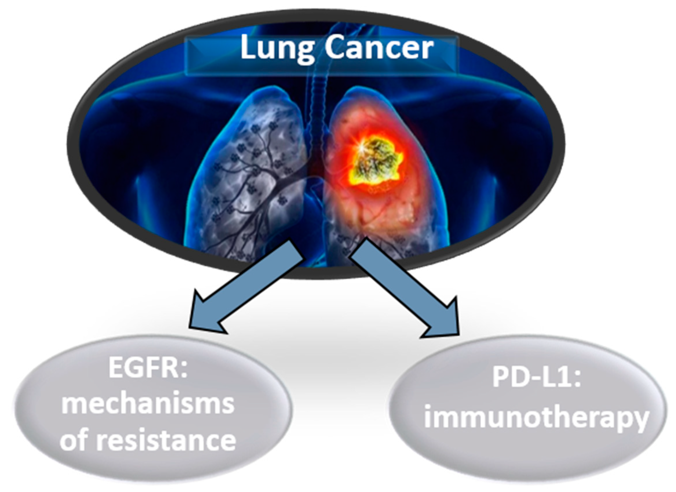 Diagnostics 10 00443 g003