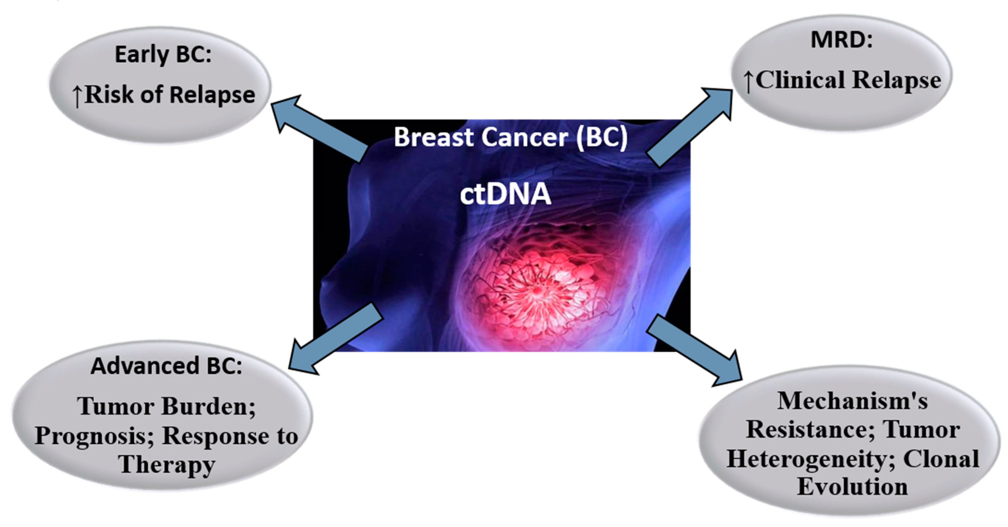 Diagnostics 10 00443 g004